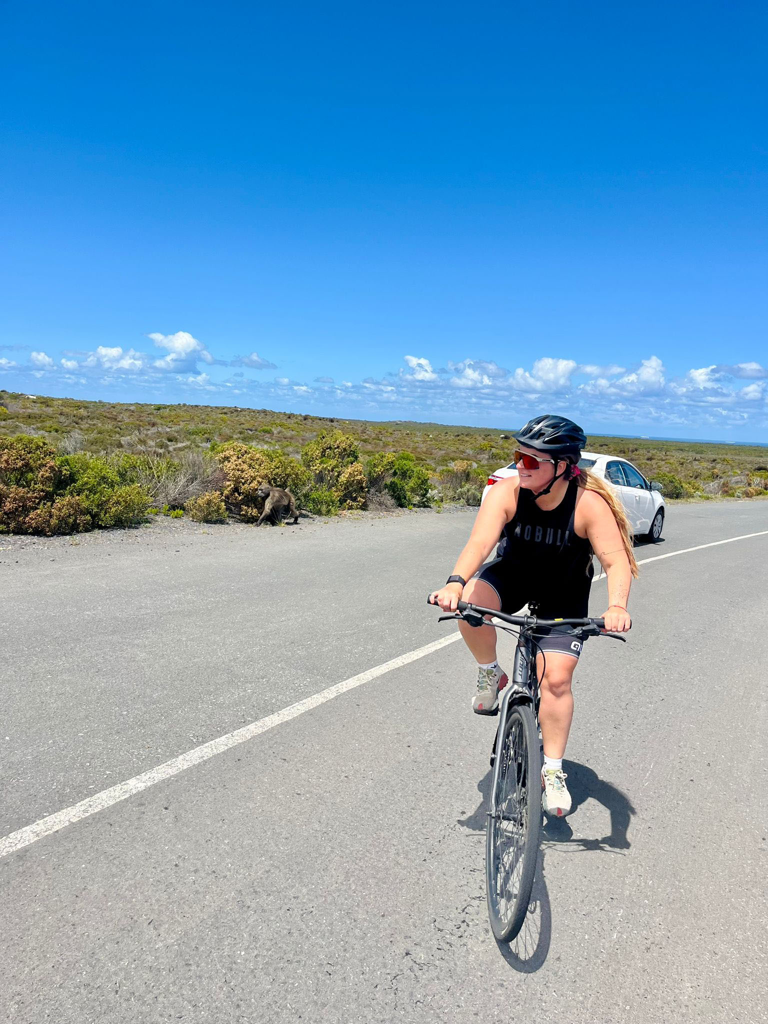 tourhub | Exodus Adventure Travels | Cycling the Cape &amp; Winelands 