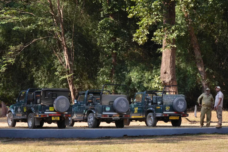 tourhub | Exodus Adventure Travels | India Tiger Safari 