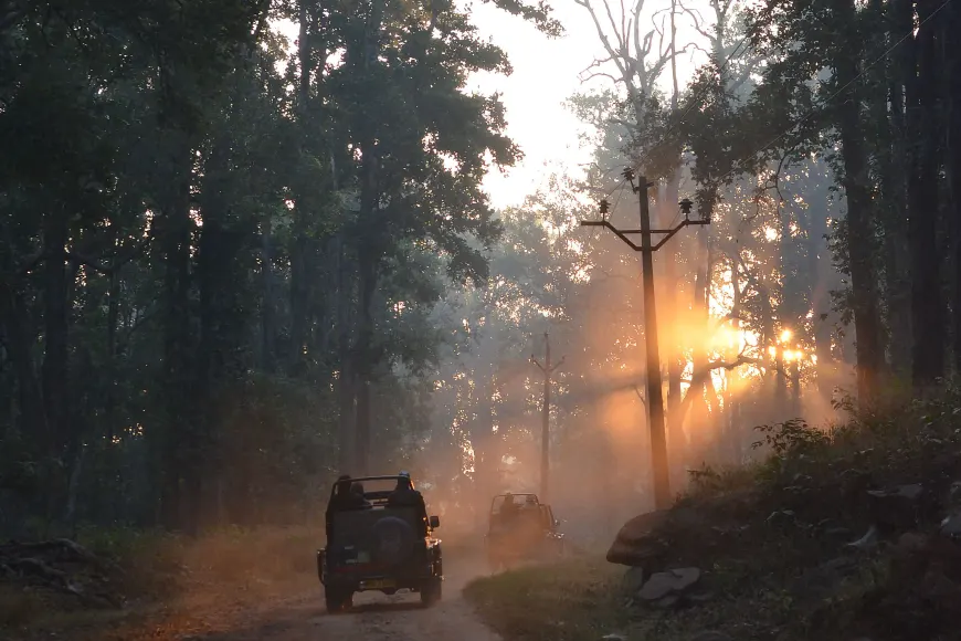 tourhub | Exodus Adventure Travels | India Tiger Safari 