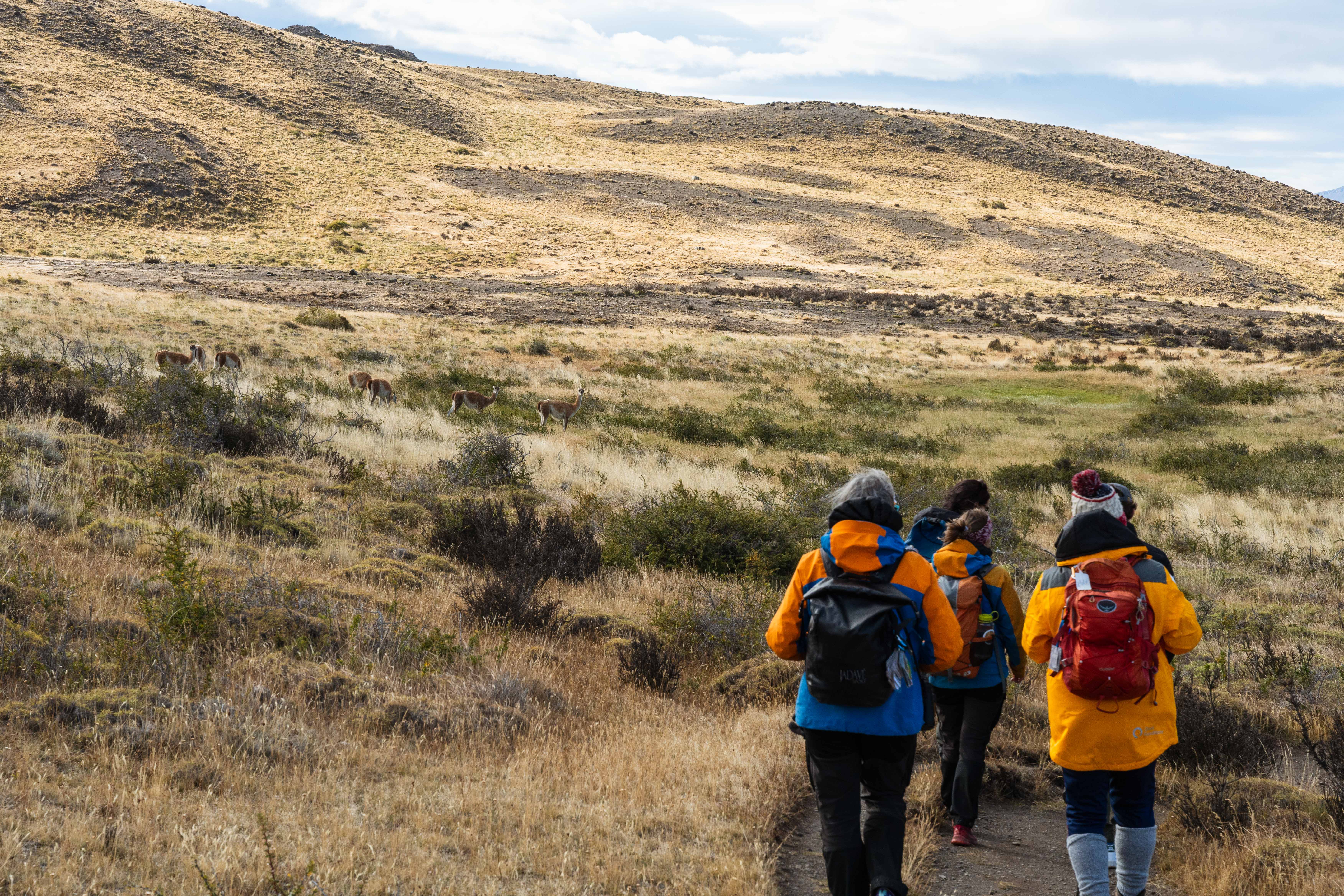 tourhub | Exodus Adventure Travels | Essential Patagonia: Fjords & Torres del Paine 