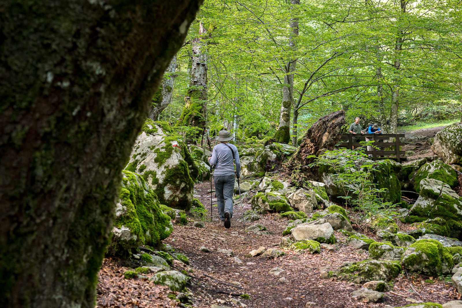 tourhub | Exodus Adventure Travels | Italian Apennines: Walks &amp; Wildlife 