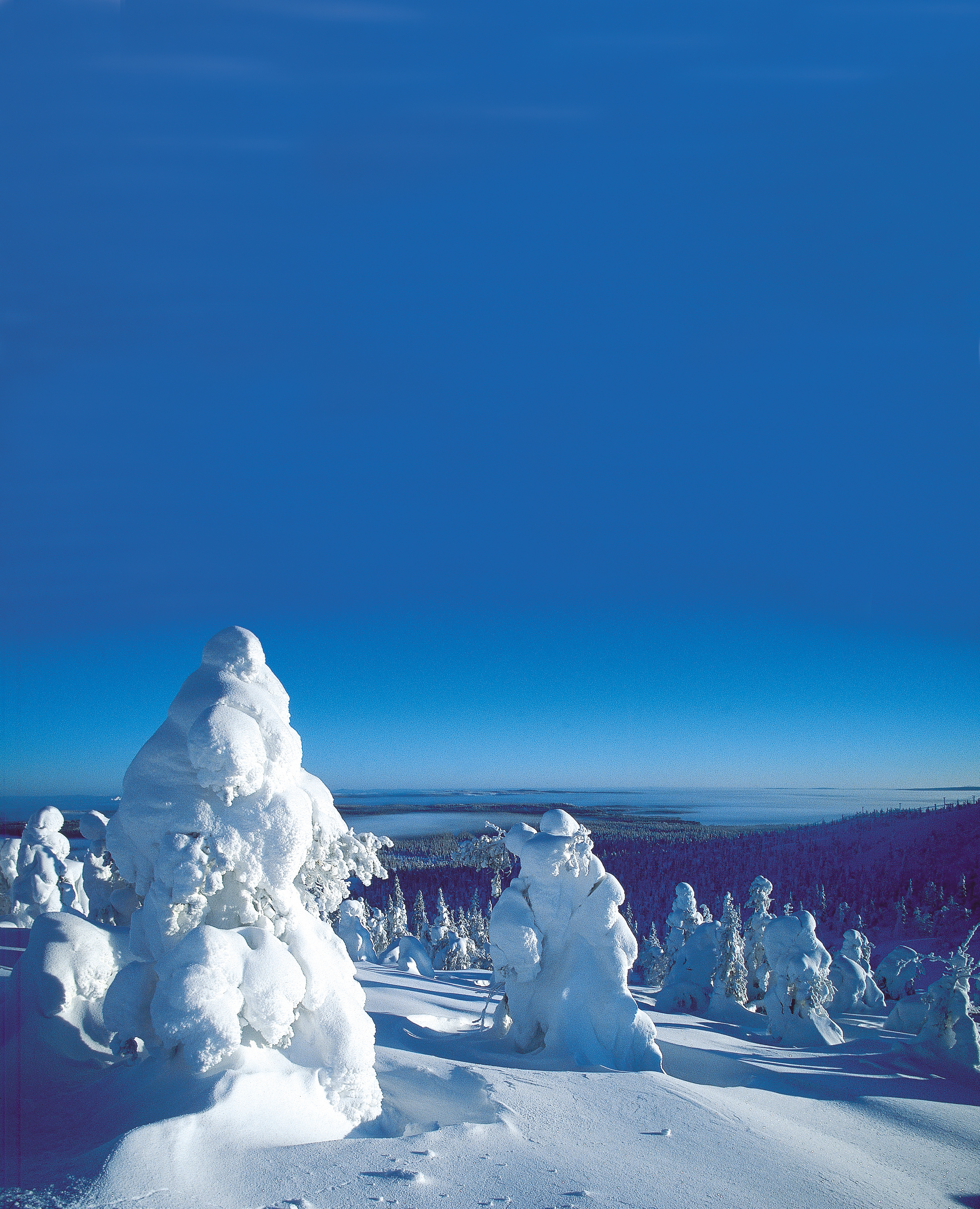 Snowshoeing in Finland