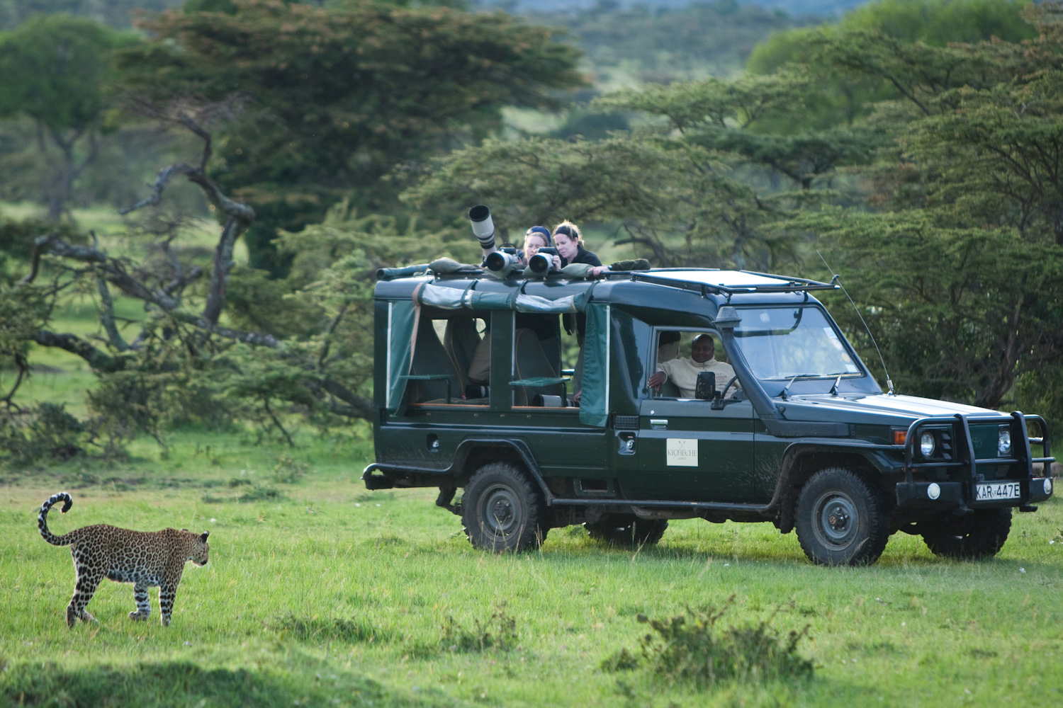 Kenya Photographic Safari with Paul Goldstein