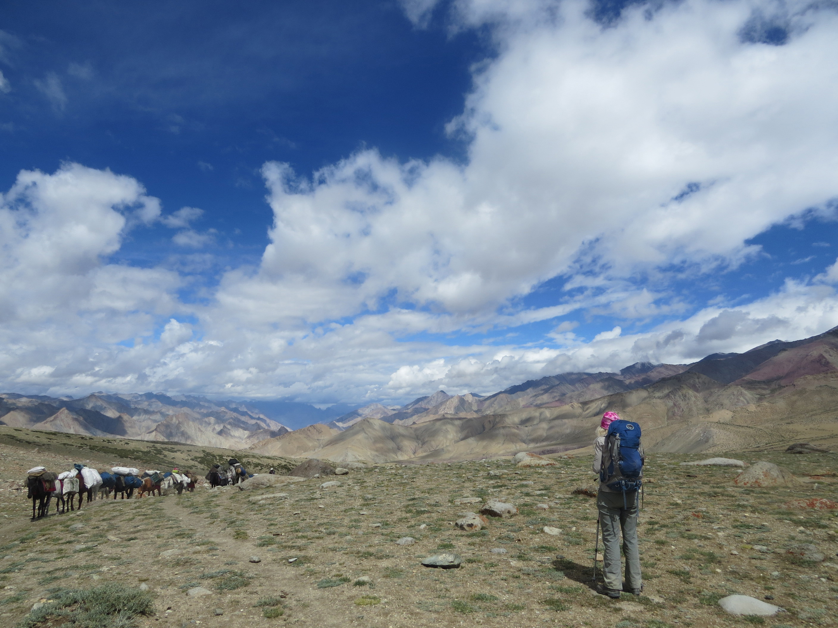 exodus travel ladakh