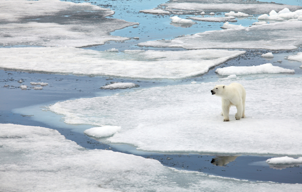 Spitsbergen Explorer: Best of High Arctic Norway (2025) | Exodus