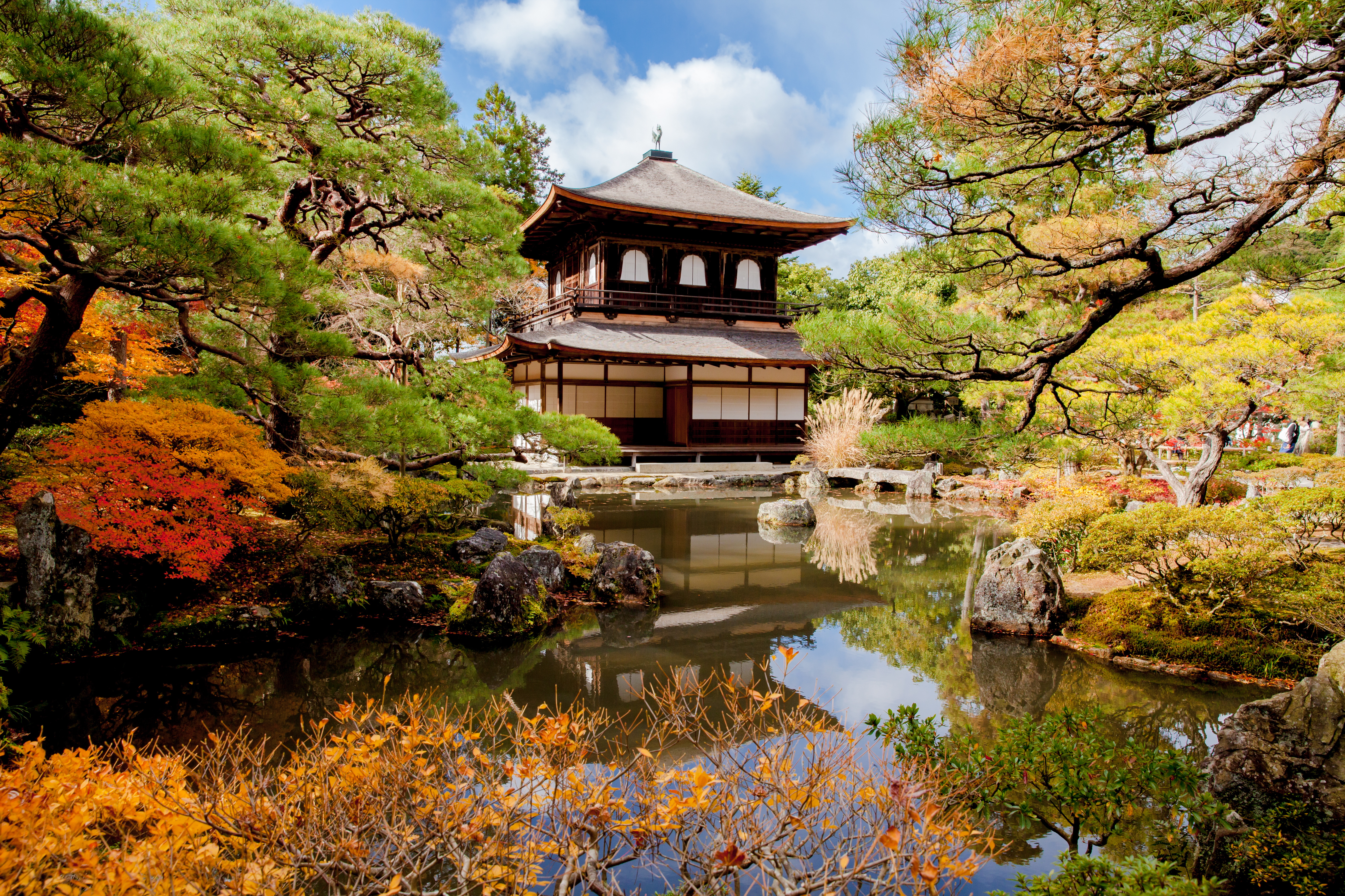 Киото япония. Парк Гинкакудзи, Япония. Золотой павильон в Киото Сакура. Парк Киото Япония.