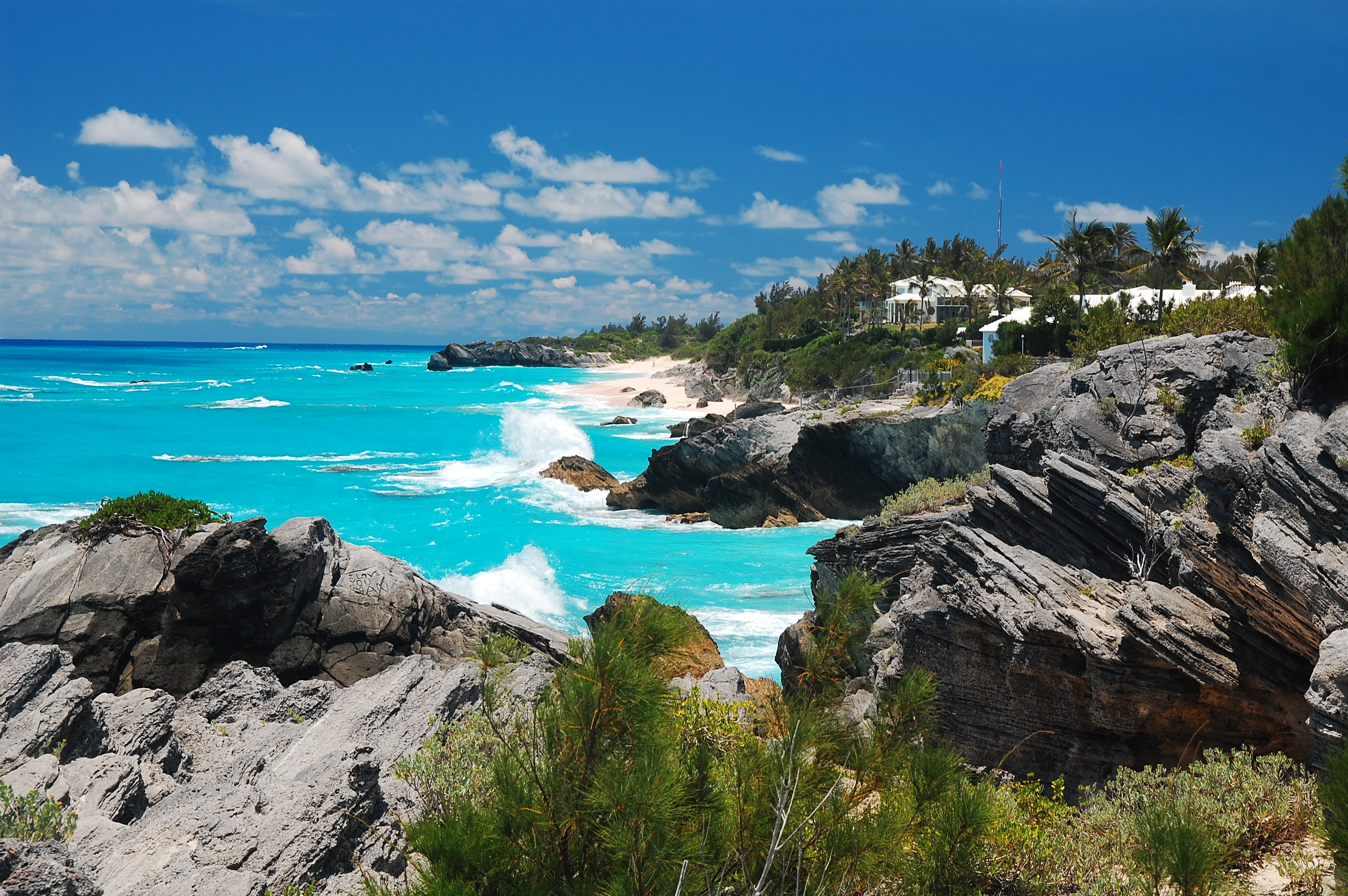 Coastal view in Bermuda