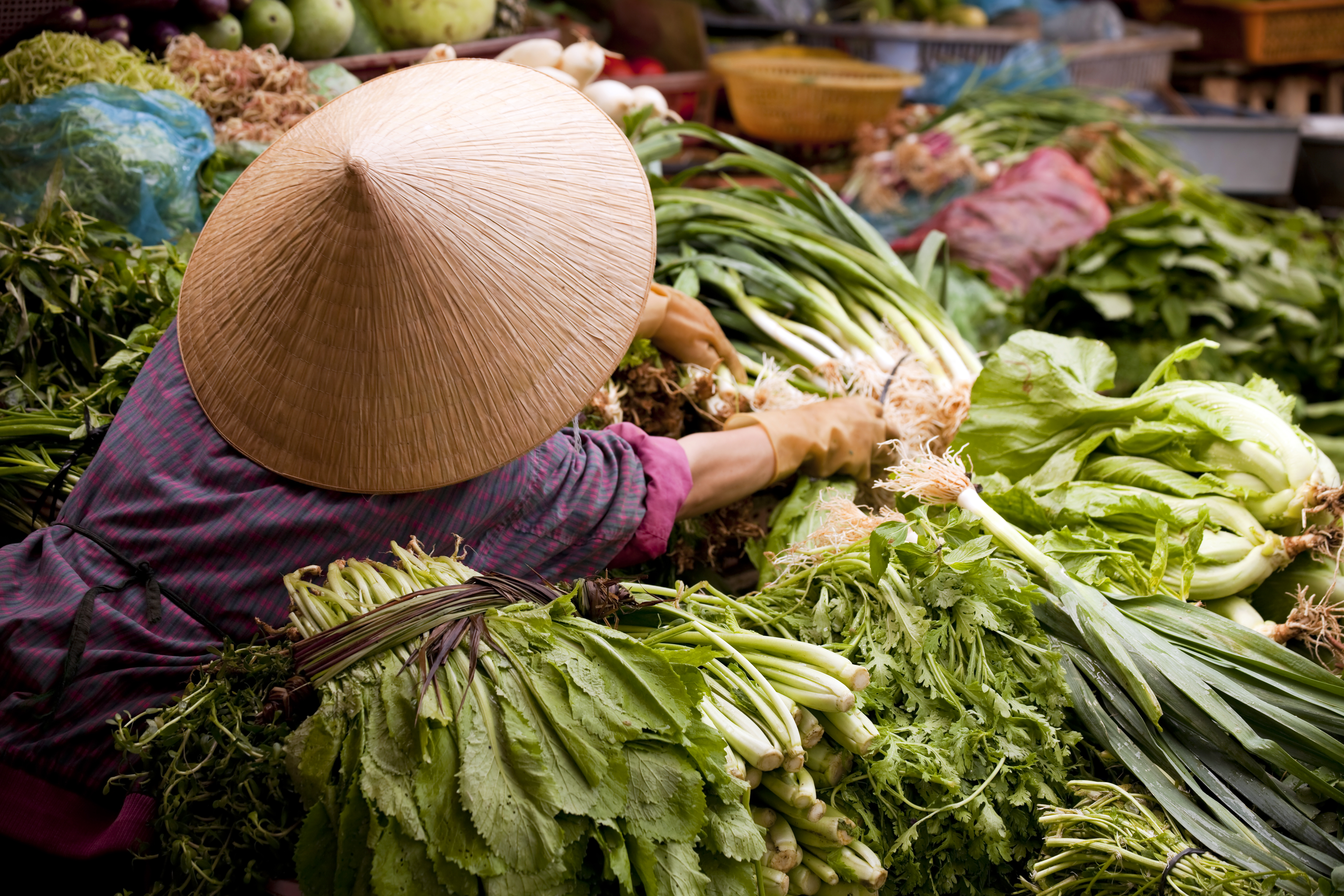 vietnamese woman asian market dalat central highlands vietnam