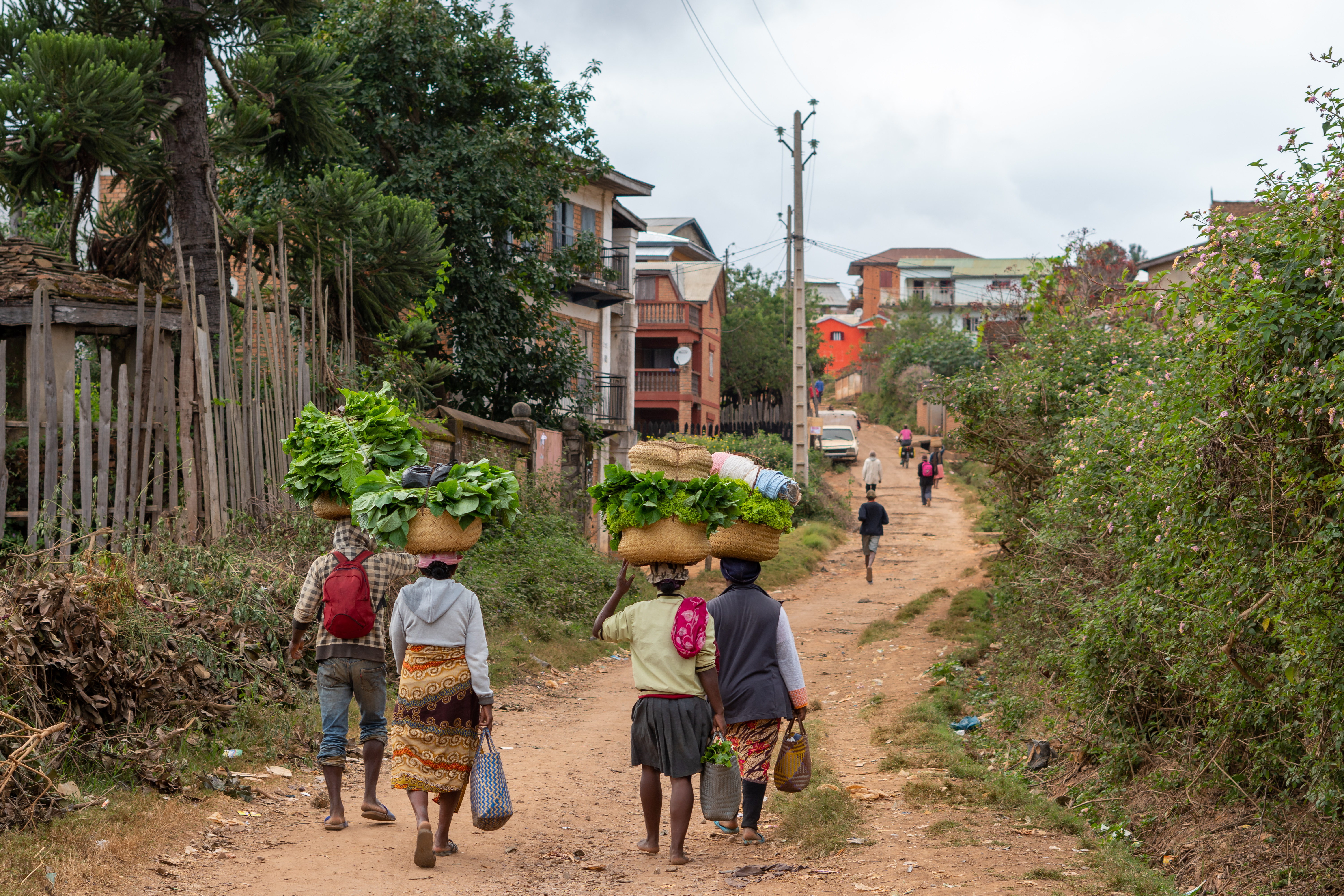 tourhub | Exodus Adventure Travels | Cycle Madagascar 