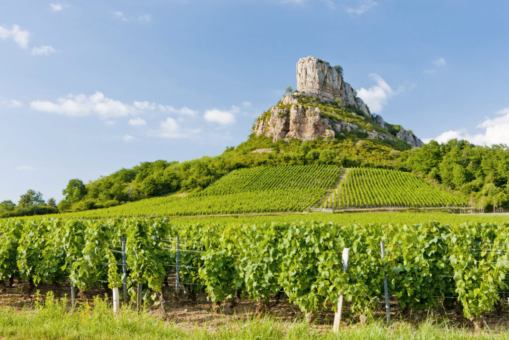 Burgundy Cycling & Walking Tours | Exodus Adventure Travels