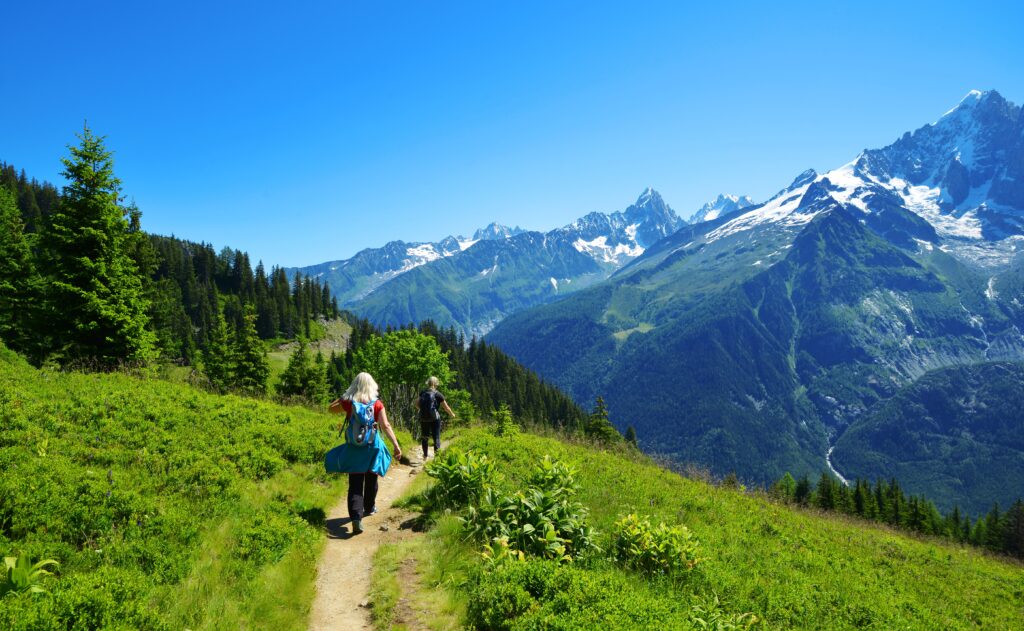 Walking Tour du Mont Blanc - Premium