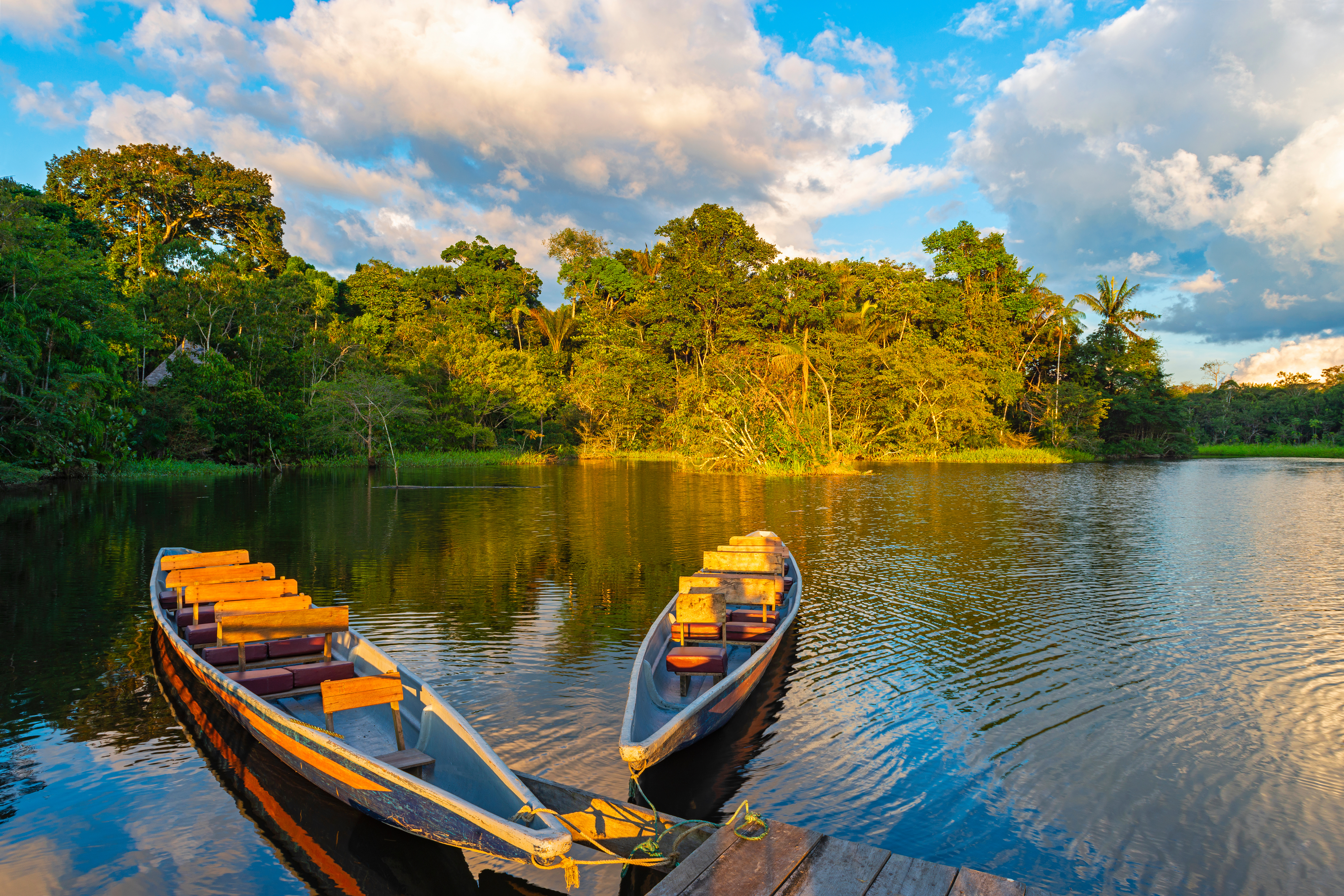 Amazon Rainforest Add-on Tour (from Cuzco)