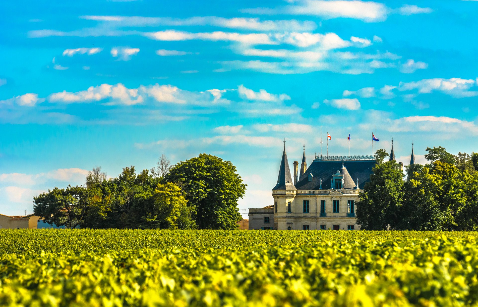 tourhub | Exodus | Walking in the Vineyards of Bordeaux and Medoc 