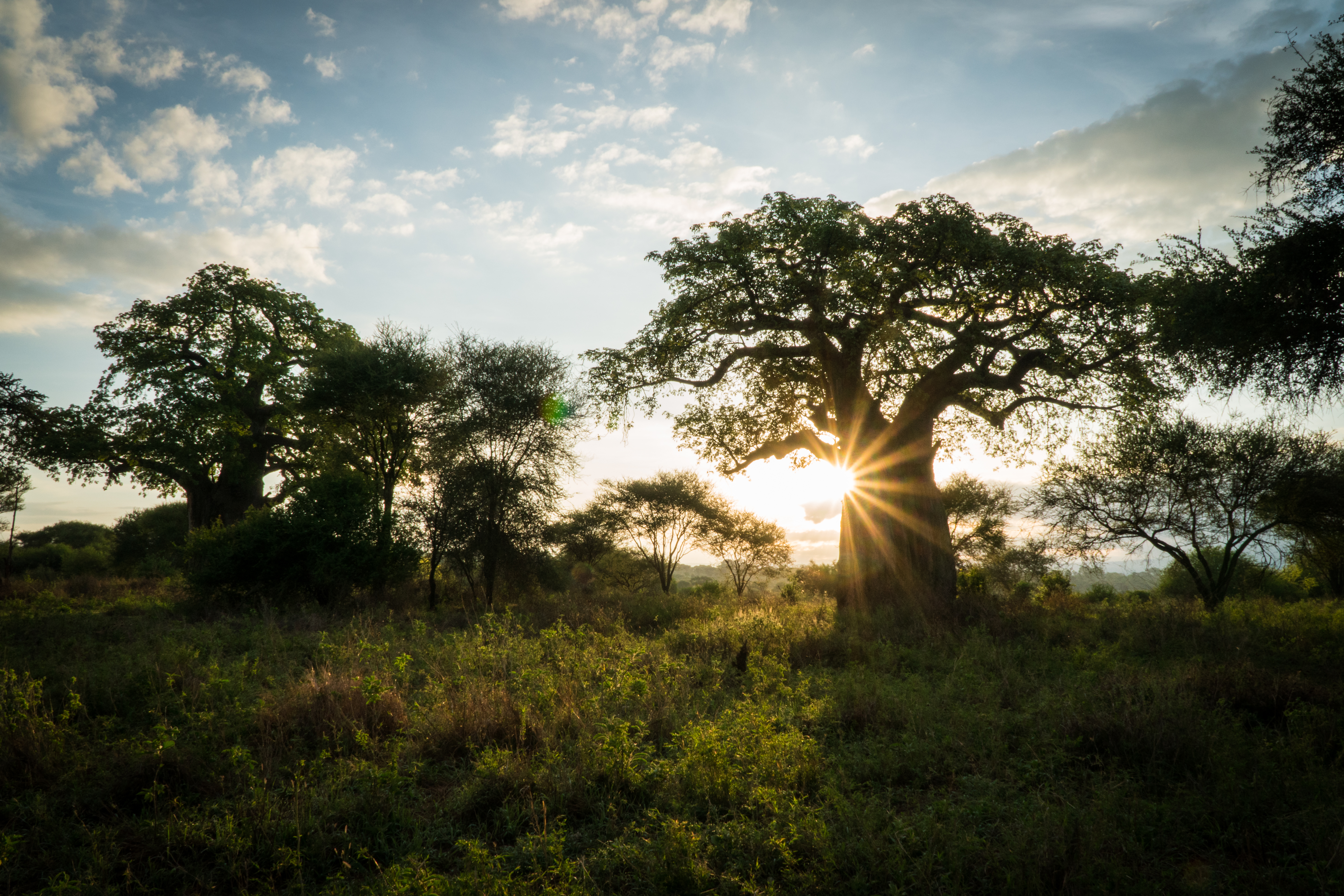 Safari Add-on Tour - after Lemosho Route