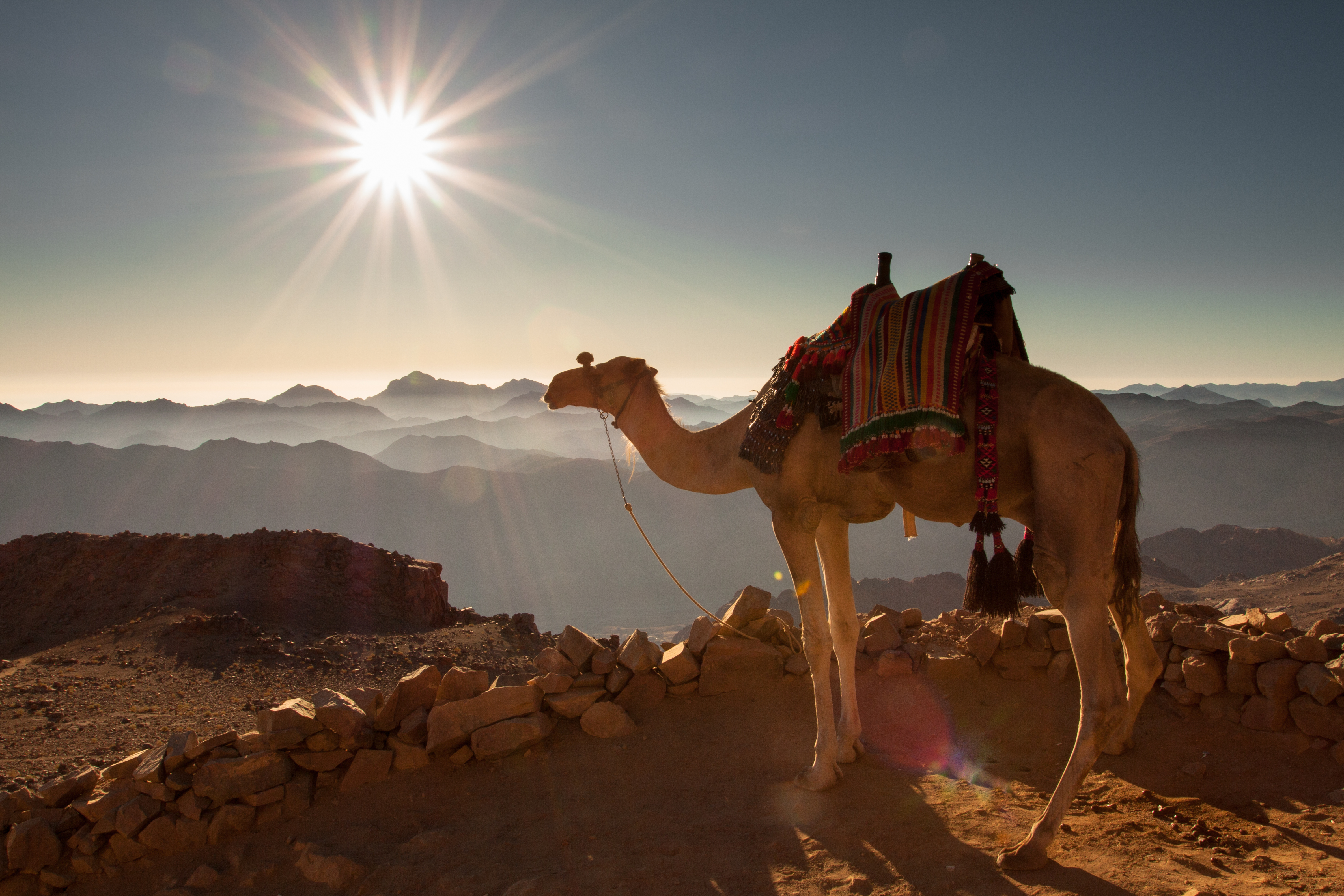 tourhub | Exodus | Bedouin Trails of Jordan & Egypt | AJE