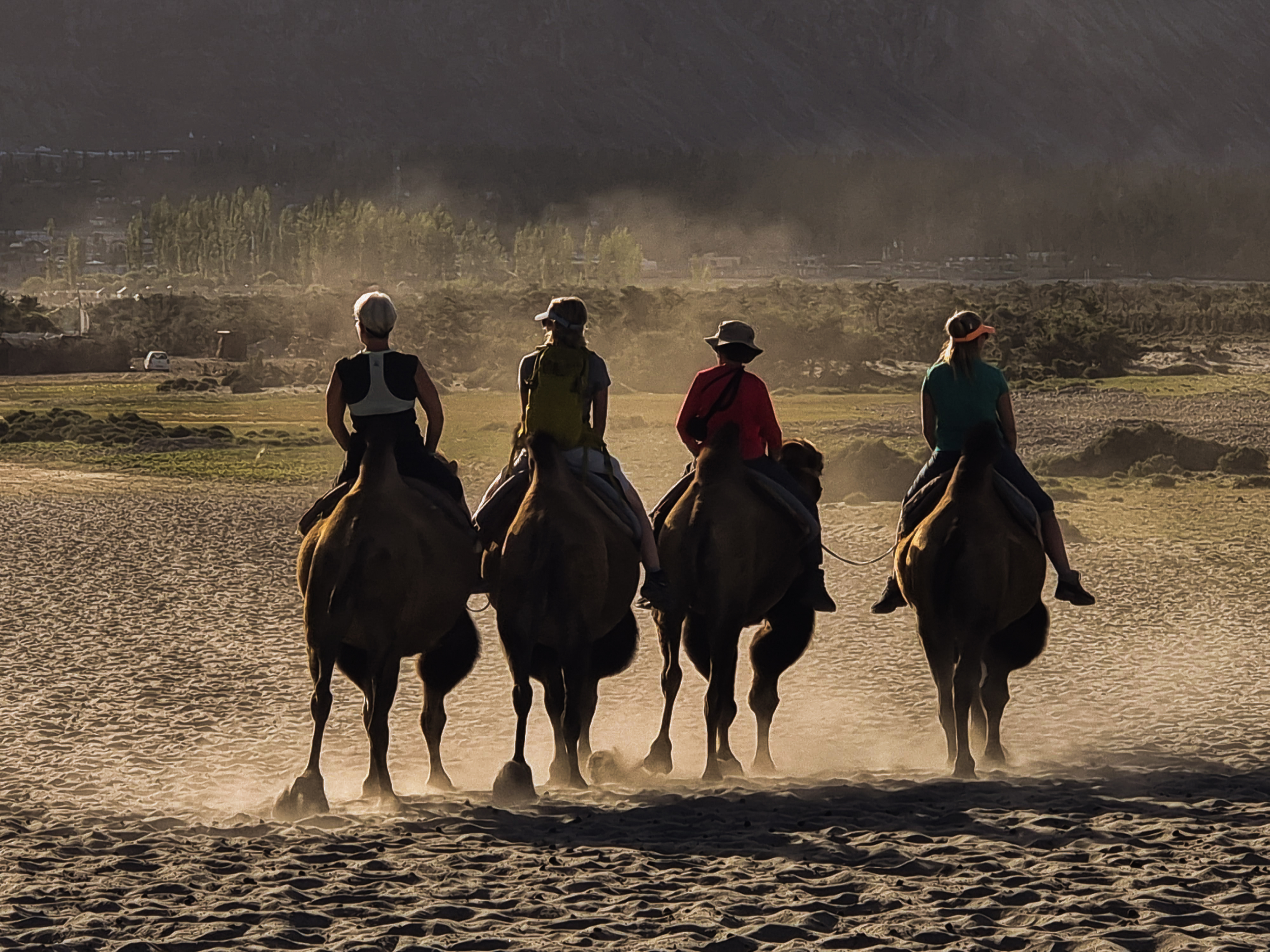 tourhub | Exodus Adventure Travels | Ladakh: Nubra Valley Trek 