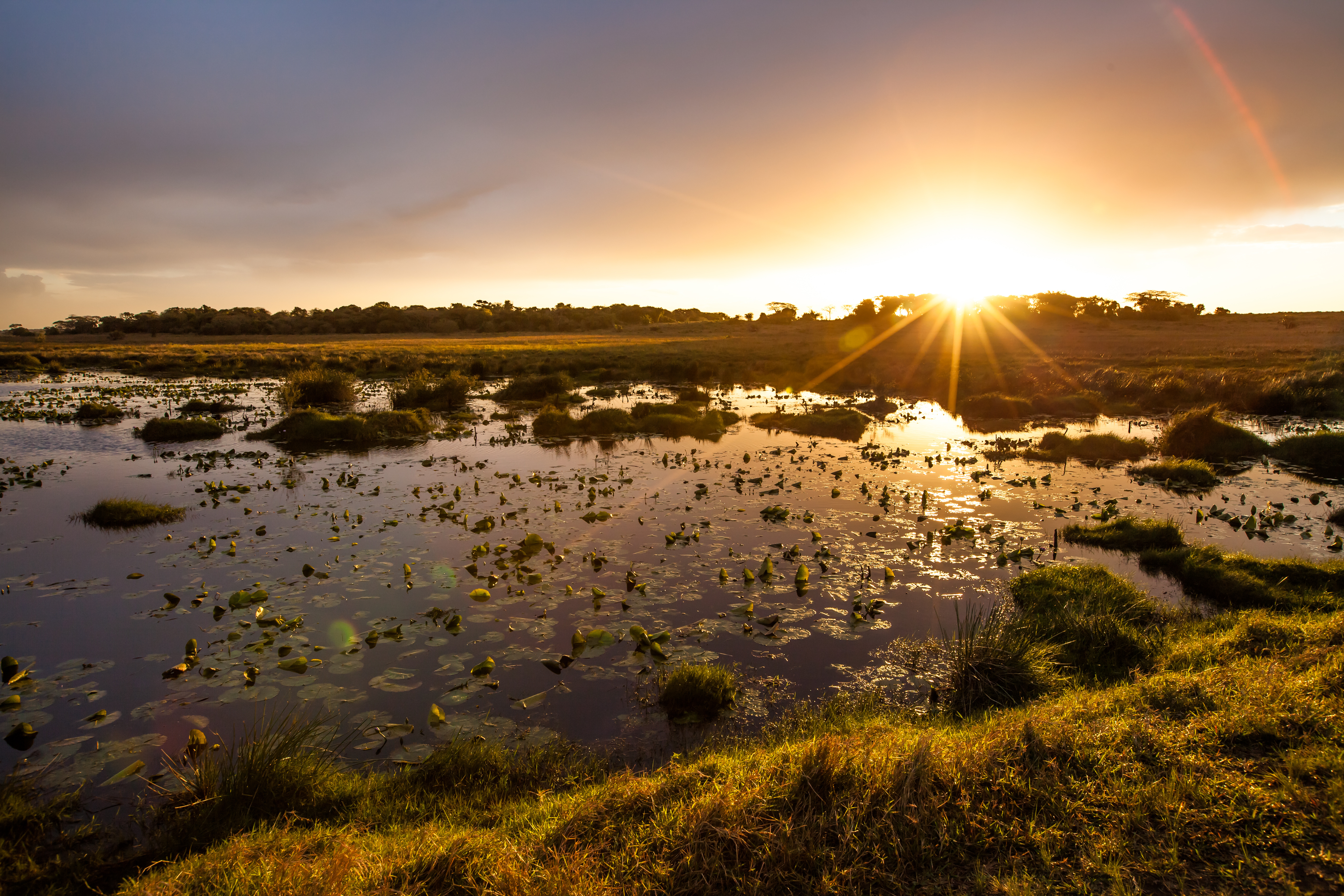 tourhub | Exodus Adventure Travels | Southern Africa Safari: Kruger & Coast 