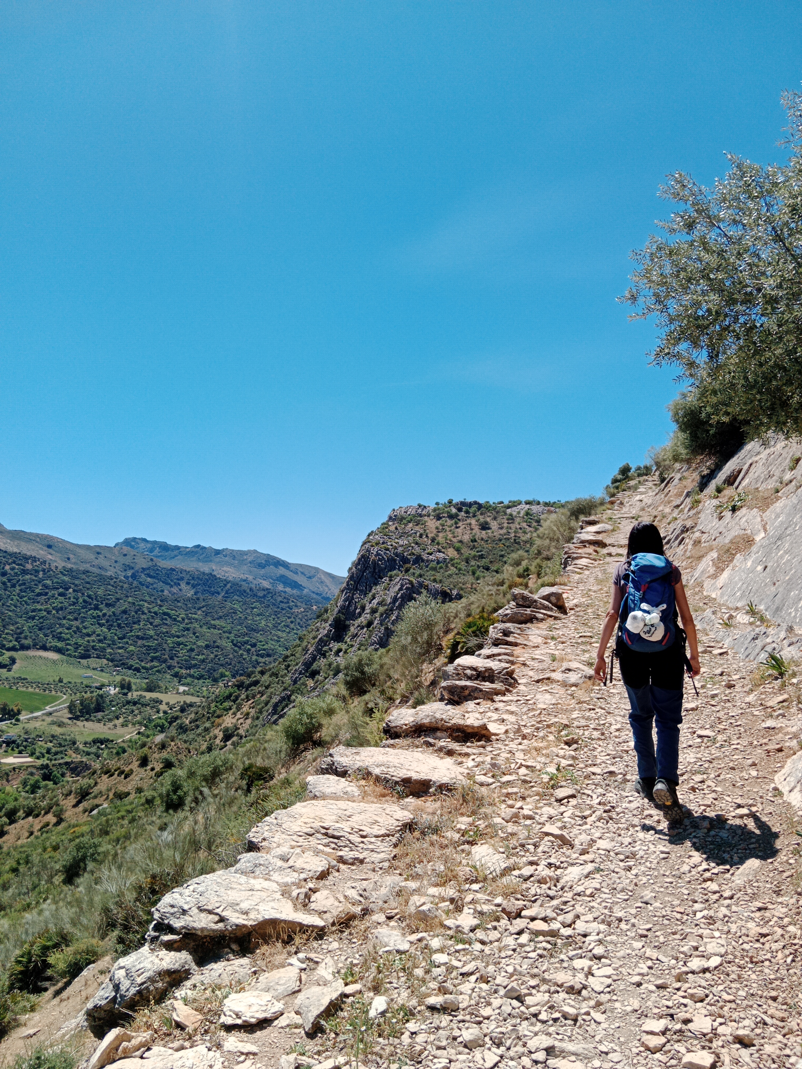 tourhub | Exodus | Andalucia Highlights Walk - Premium Adventure | TFS