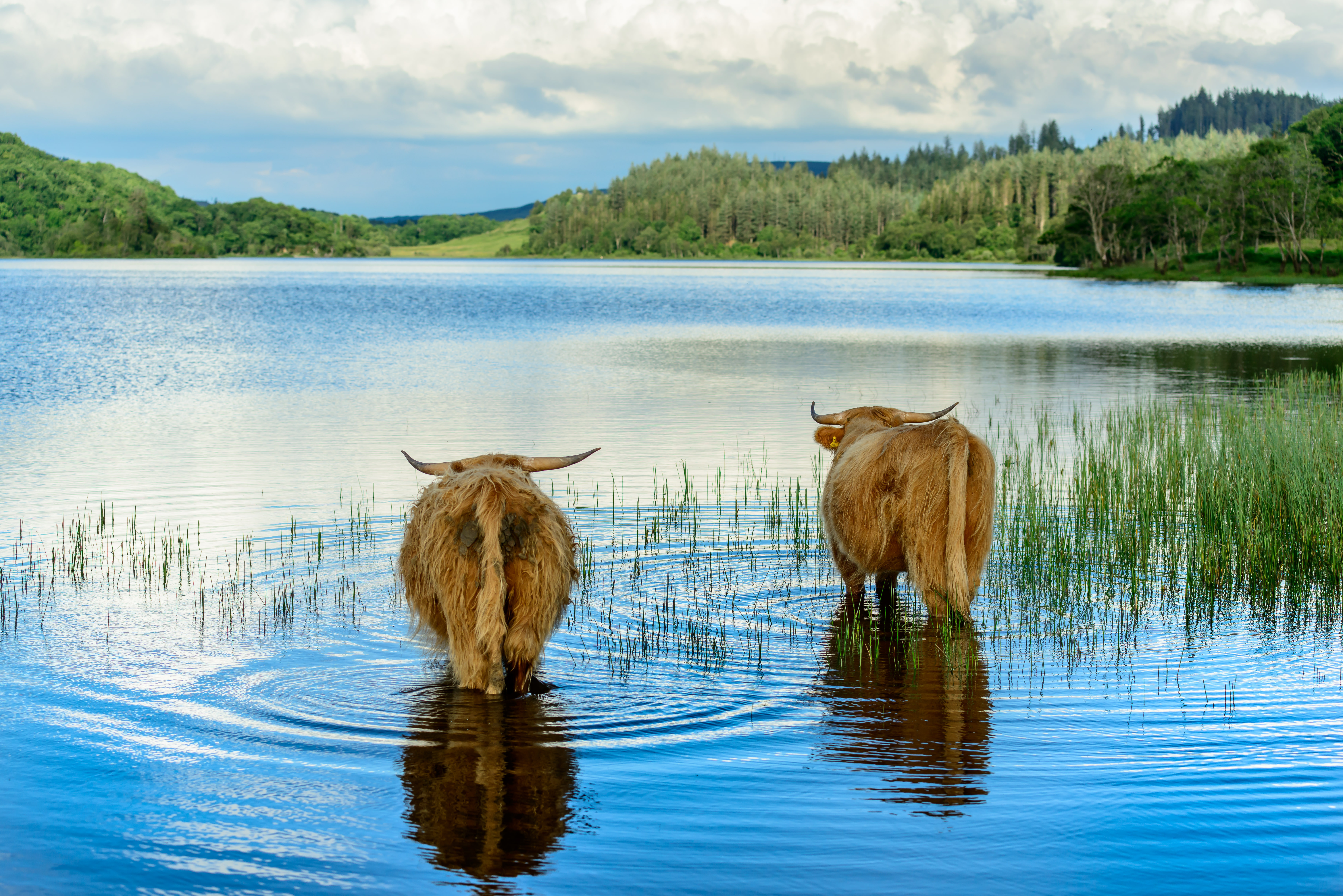 tourhub | Exodus Adventure Travels | Classic Scotland: Edinburgh to the Highlands 