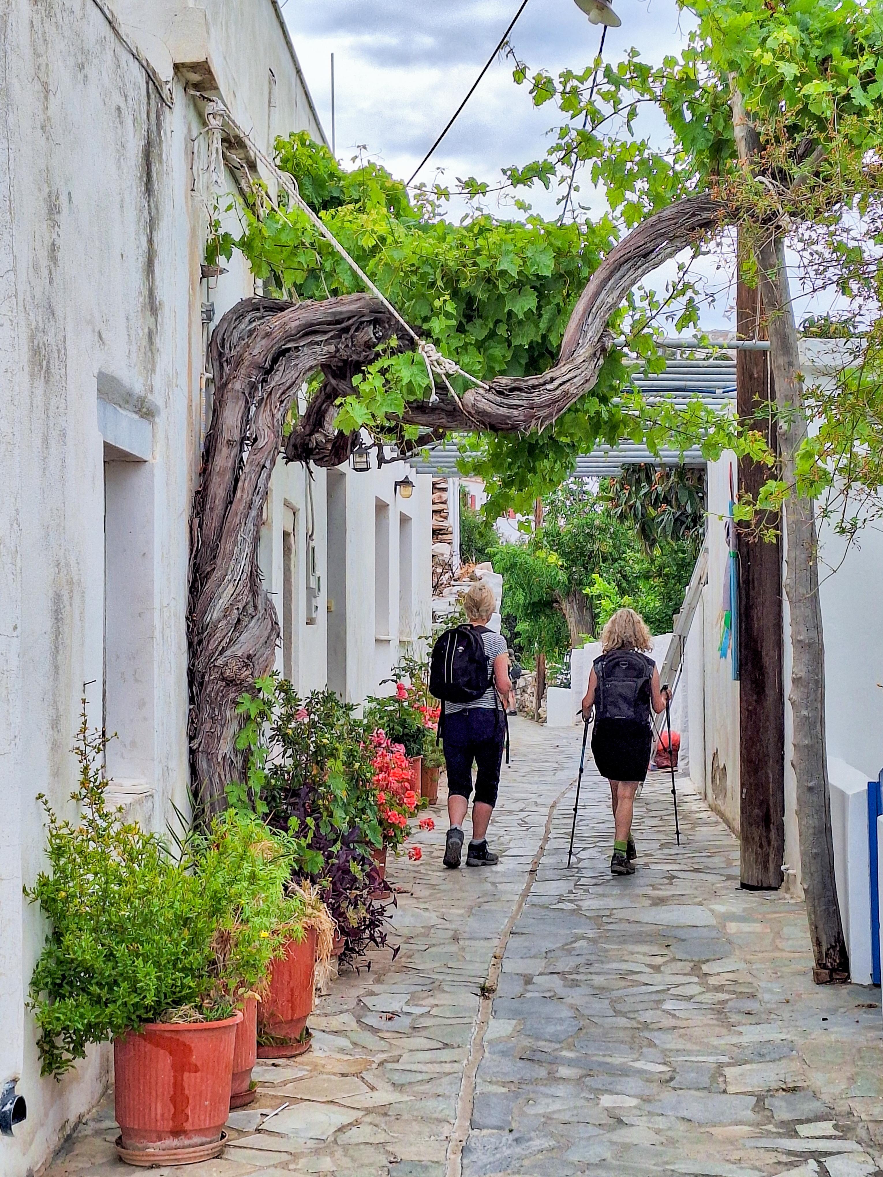 tourhub | Exodus Adventure Travels | Walking on the Greek Islands 