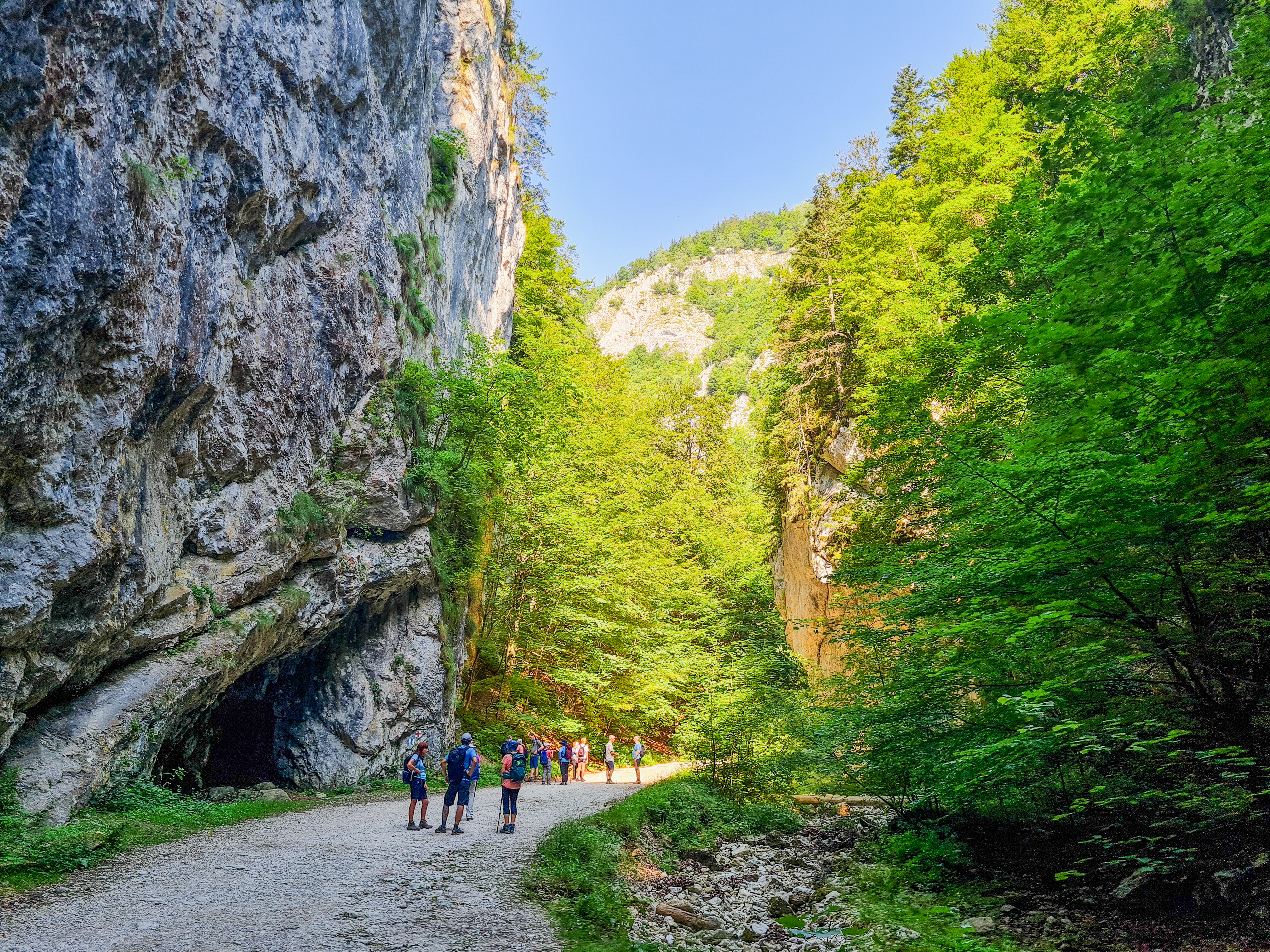 tourhub | Exodus Adventure Travels | Carpathian Walking & Bears 