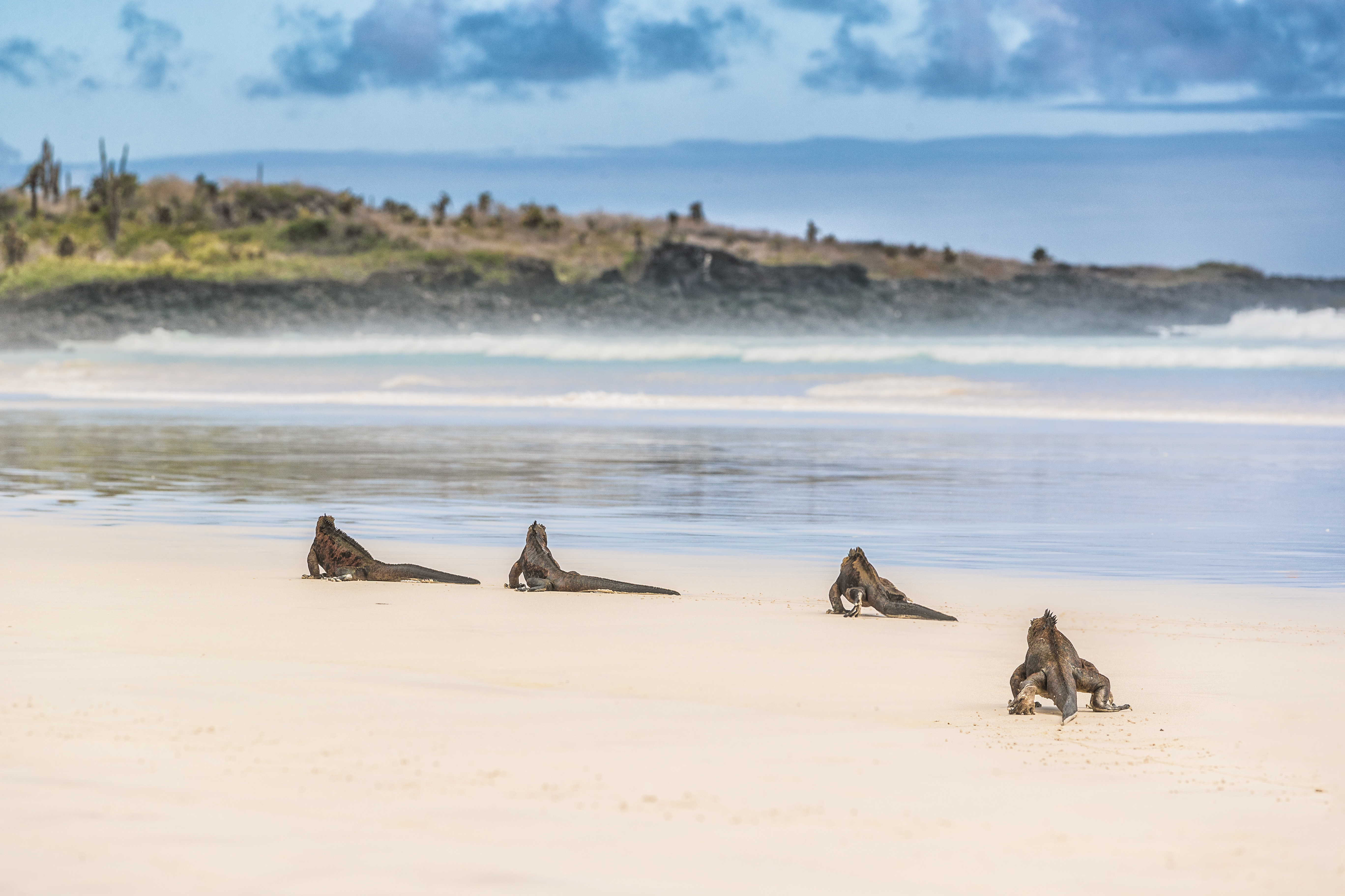 tourhub | Exodus Adventure Travels | Galapagos: In Darwin's Footsteps 