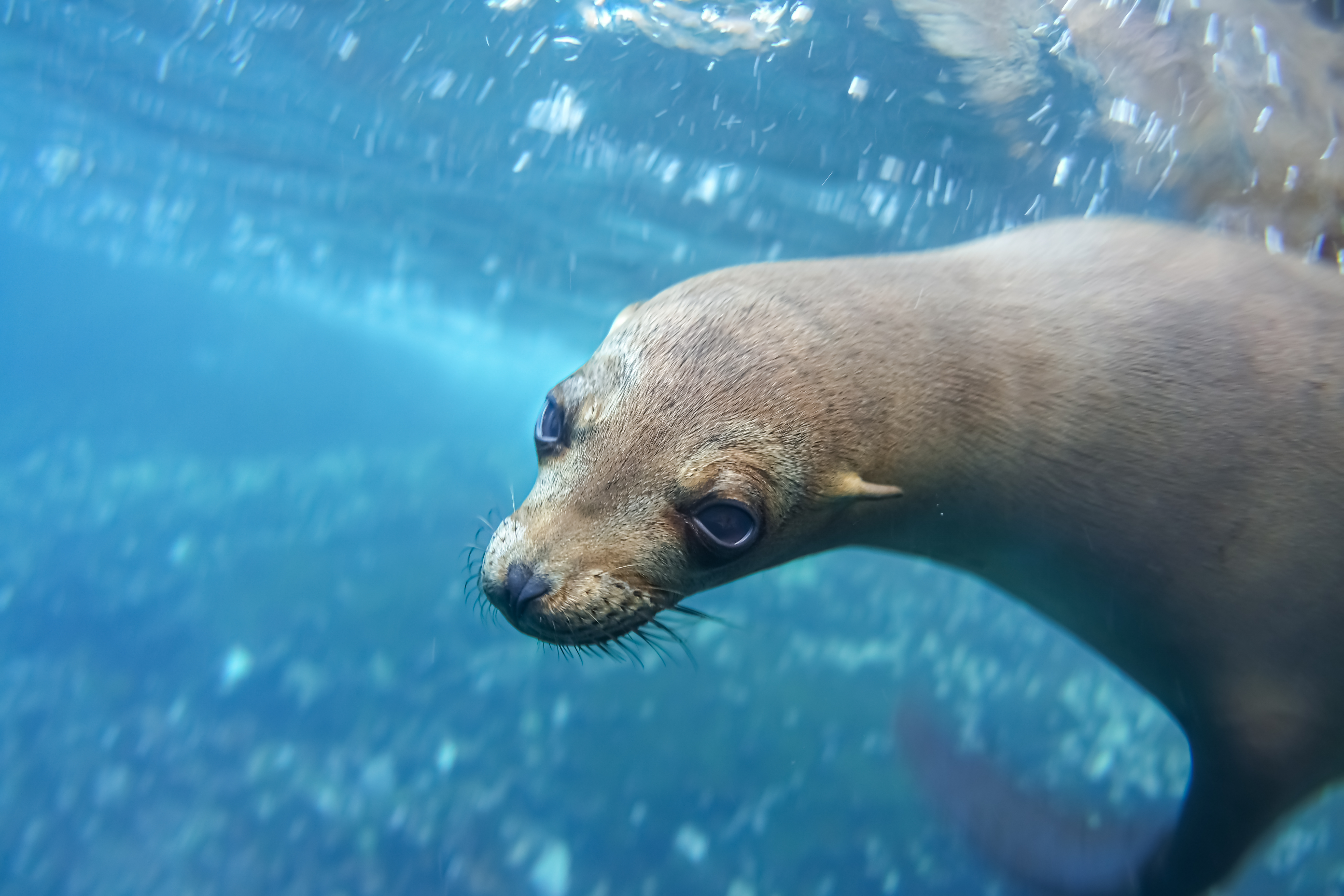 tourhub | Exodus Adventure Travels | Galapagos: In Darwin's Footsteps 