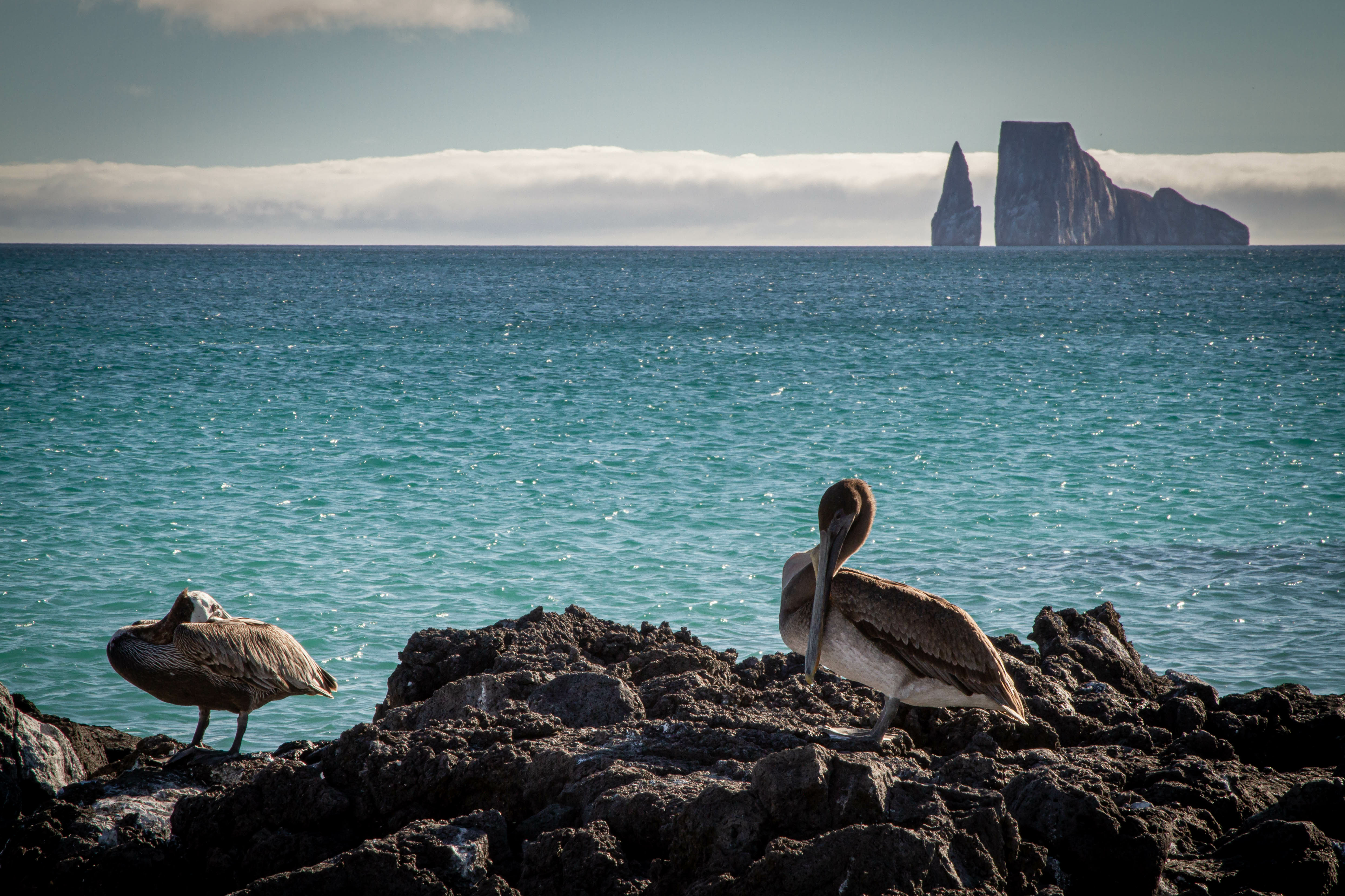 tourhub | Exodus Adventure Travels | Galapagos: In Darwin's Footsteps 