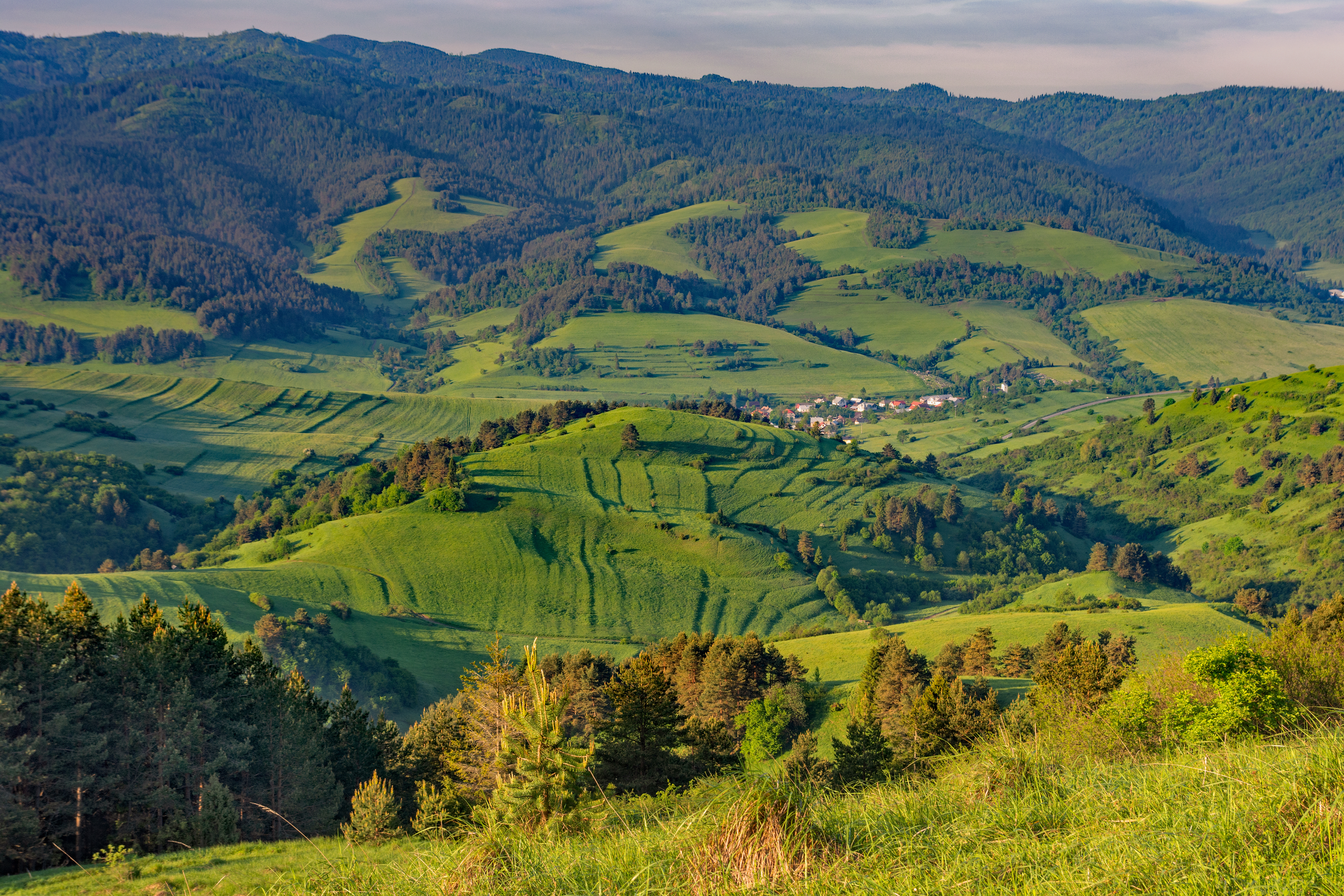 tourhub | Exodus Adventure Travels | Carpathian Walking & Bears 