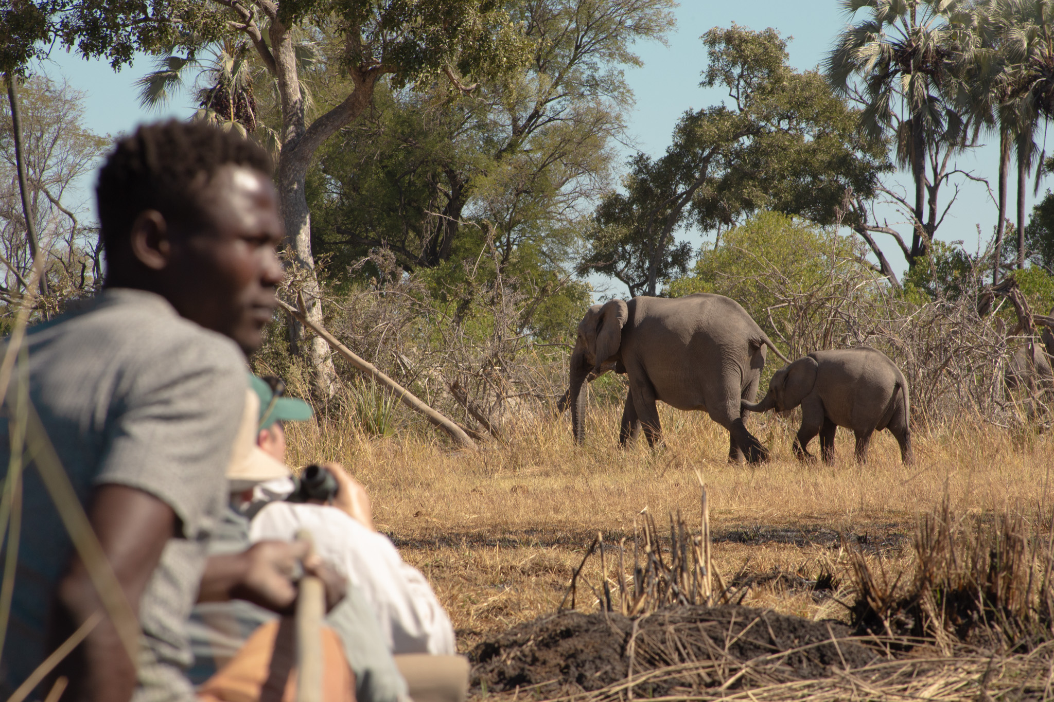 tourhub | Exodus Adventure Travels | Wildlife & Wilderness of Botswana 