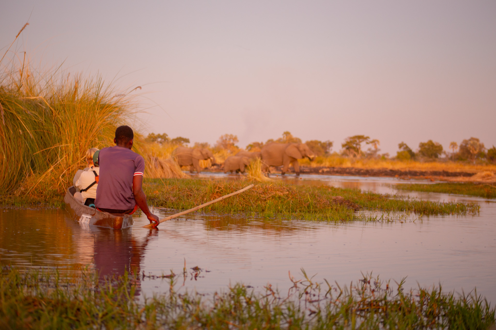 tourhub | Exodus Adventure Travels | Wildlife & Wilderness of Botswana 