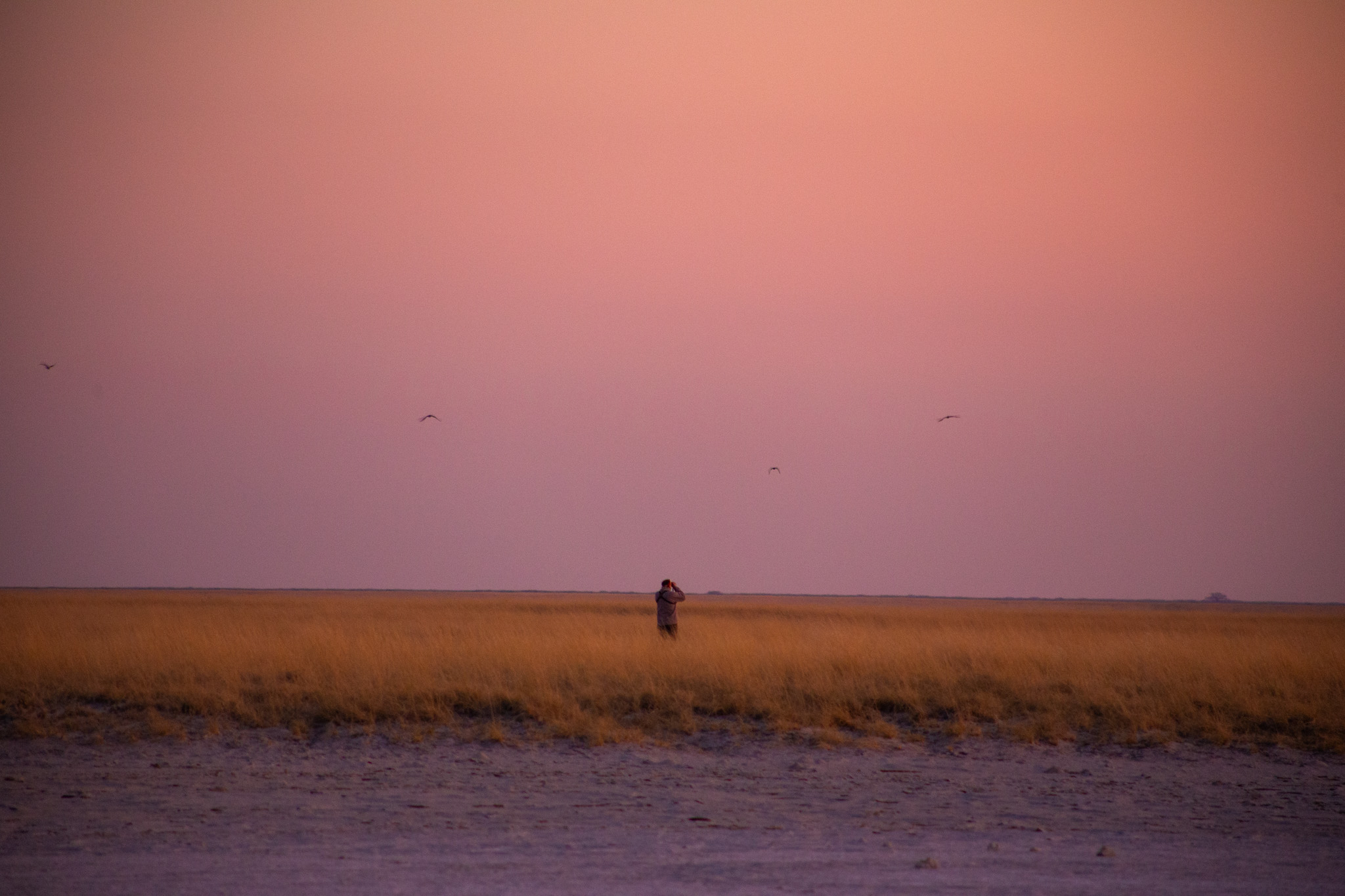 tourhub | Exodus Adventure Travels | Wildlife & Wilderness of Botswana 