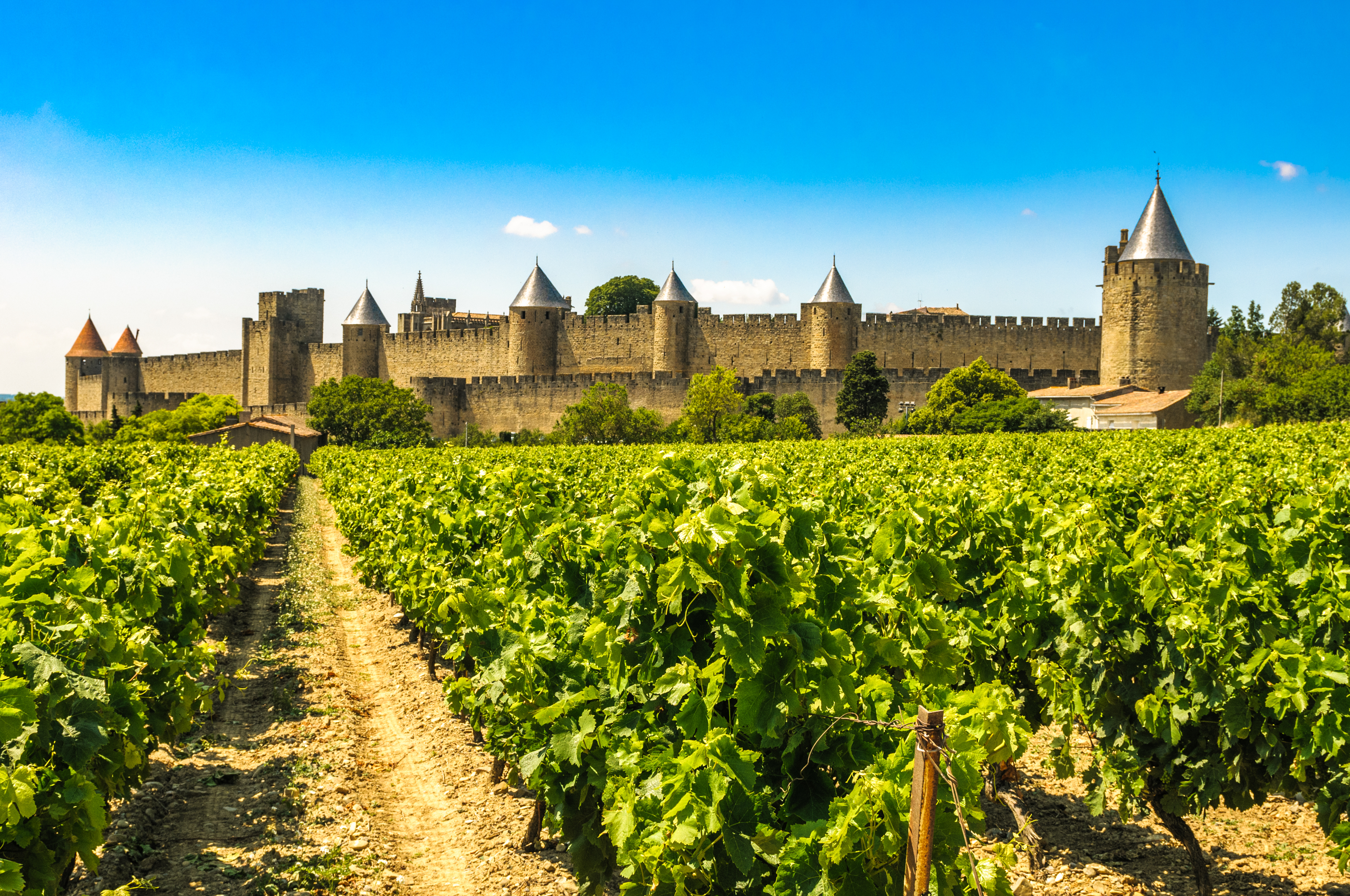 tourhub | Exodus Adventure Travels | Canal du midi Cycling : from Toulouse to Sete 