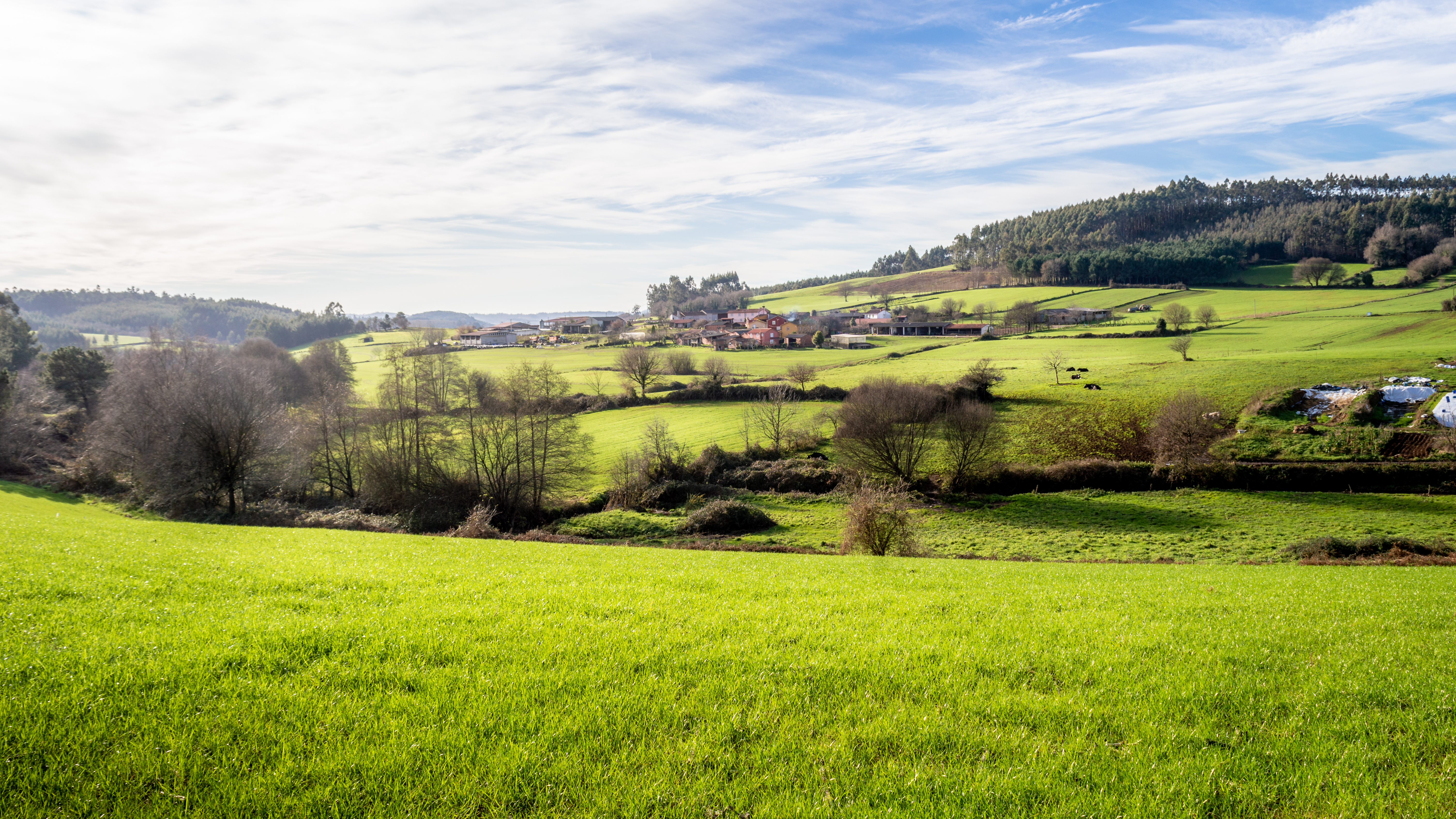 tourhub | Exodus Adventure Travels | Cycle the Camino de Santiago 