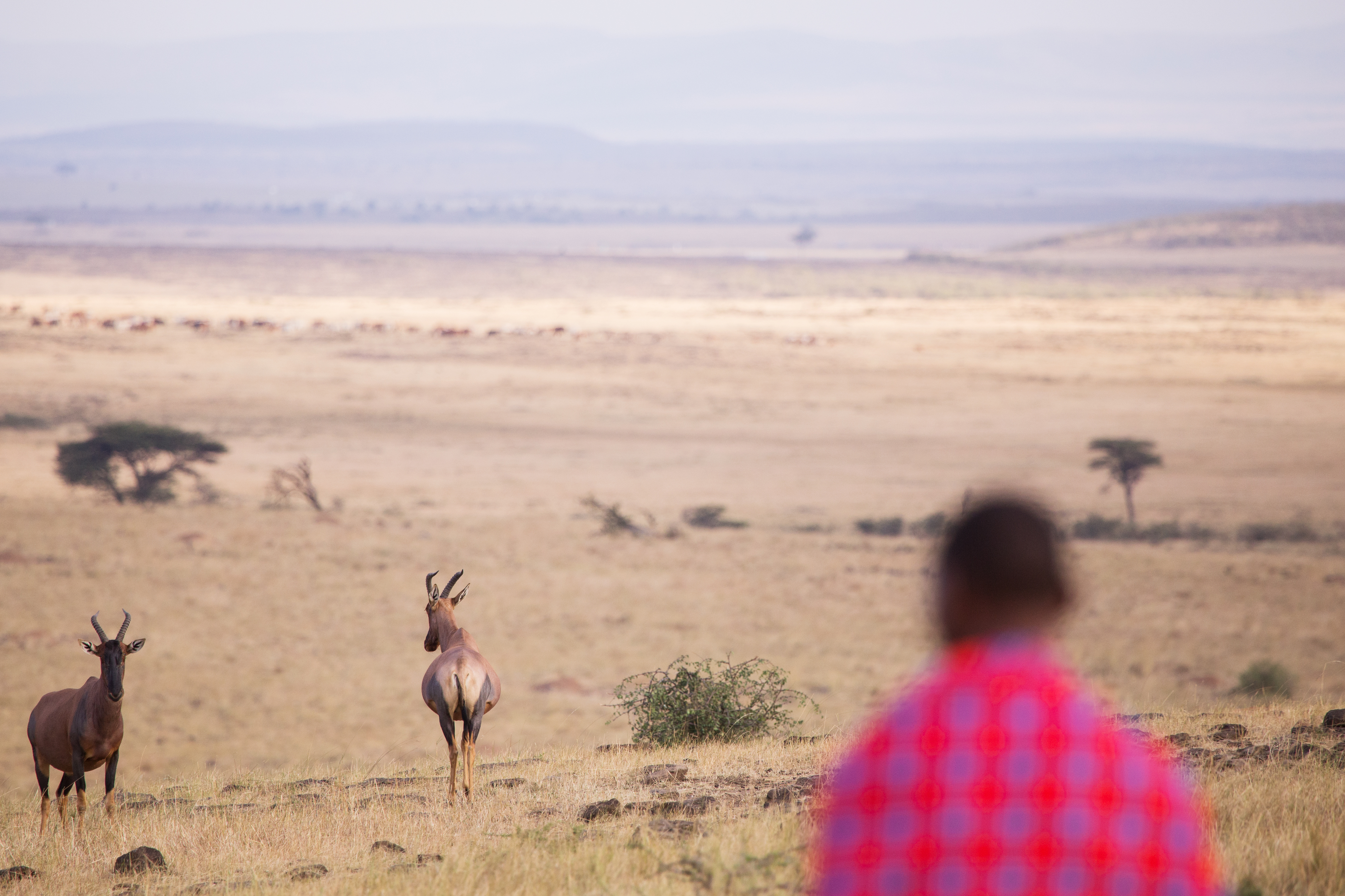 tourhub | Exodus Adventure Travels | Kenya Safari Adventure 