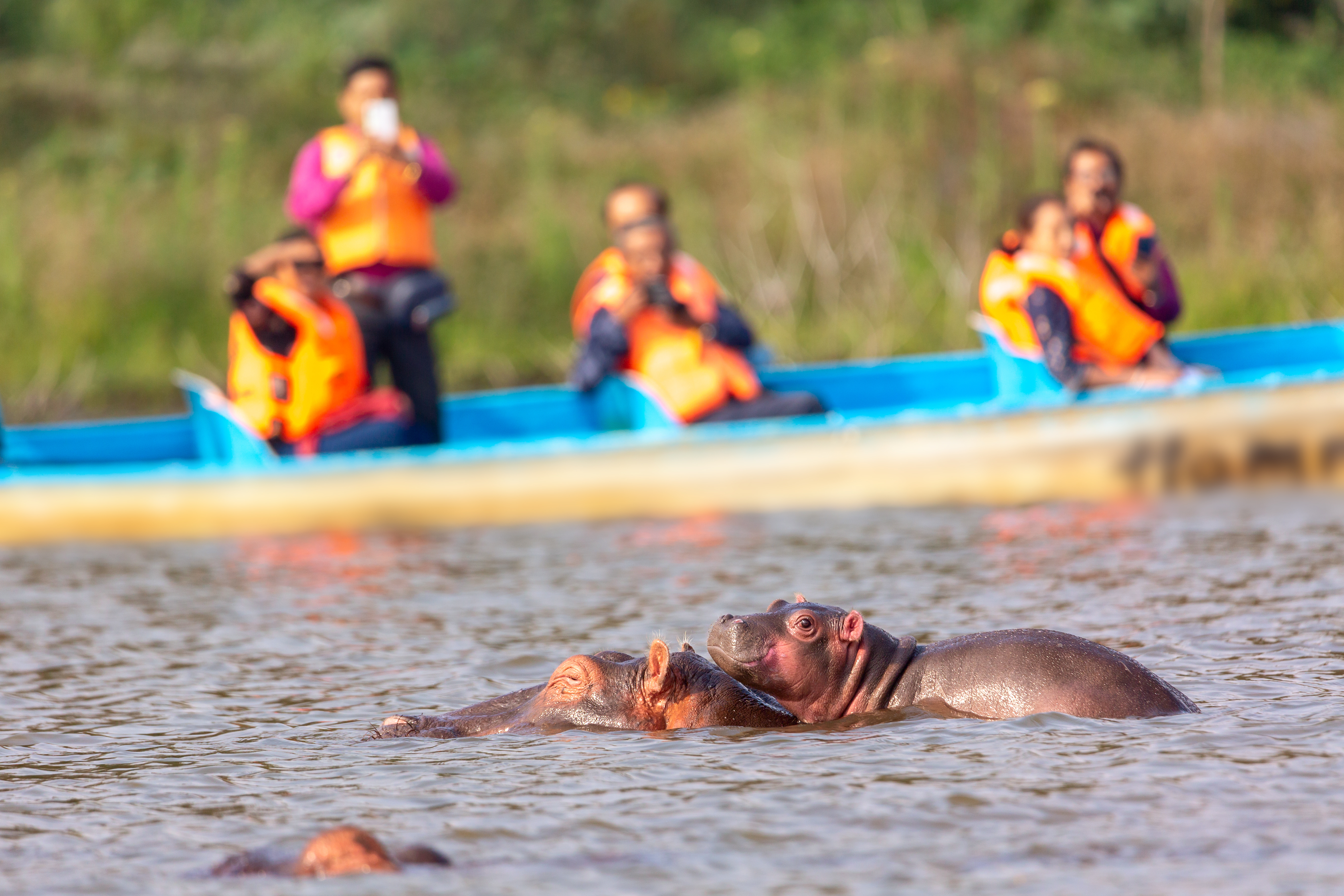 tourhub | Exodus Adventure Travels | Kenya Safari Adventure 