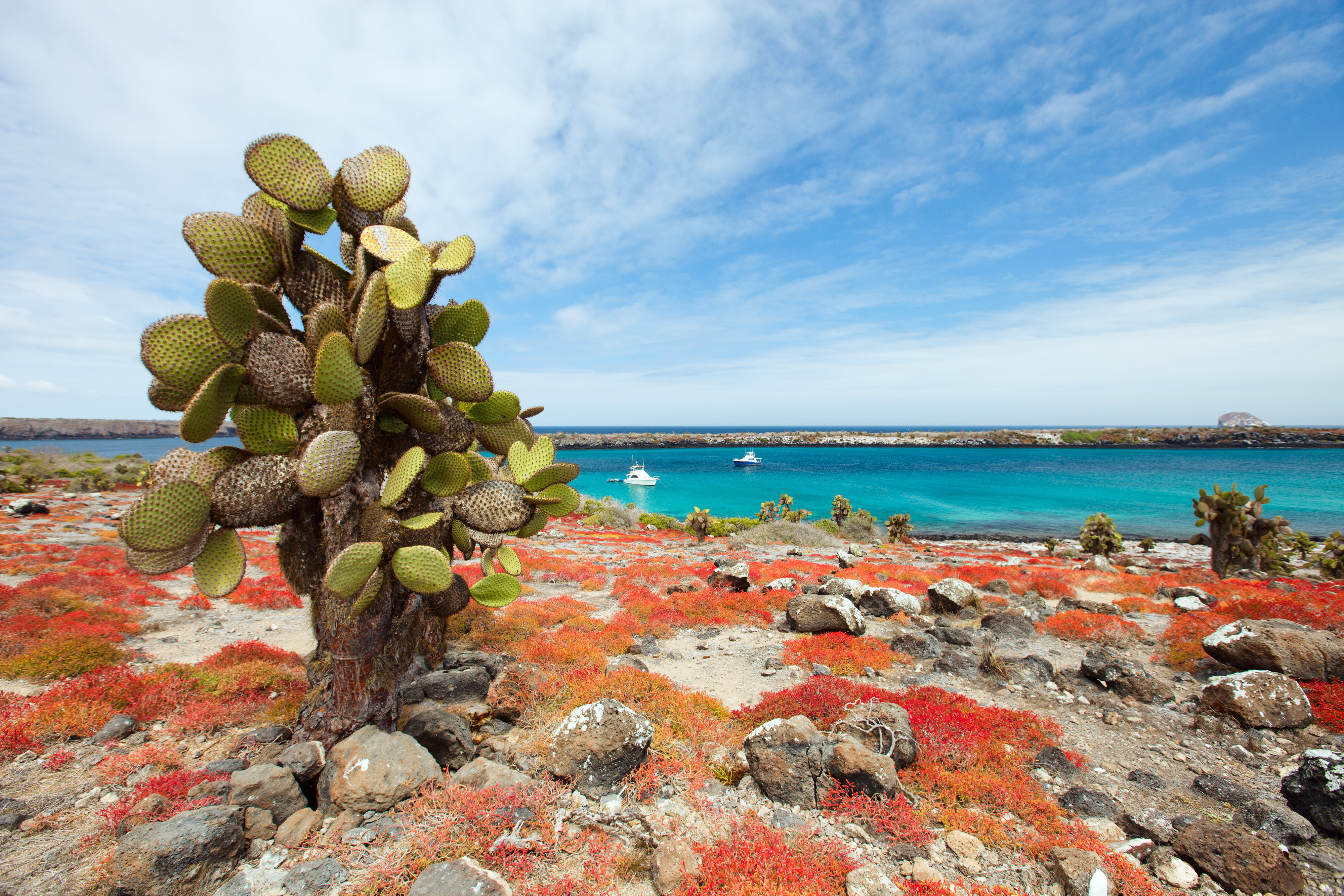 tourhub | Exodus Adventure Travels | Machu Picchu & Galapagos 