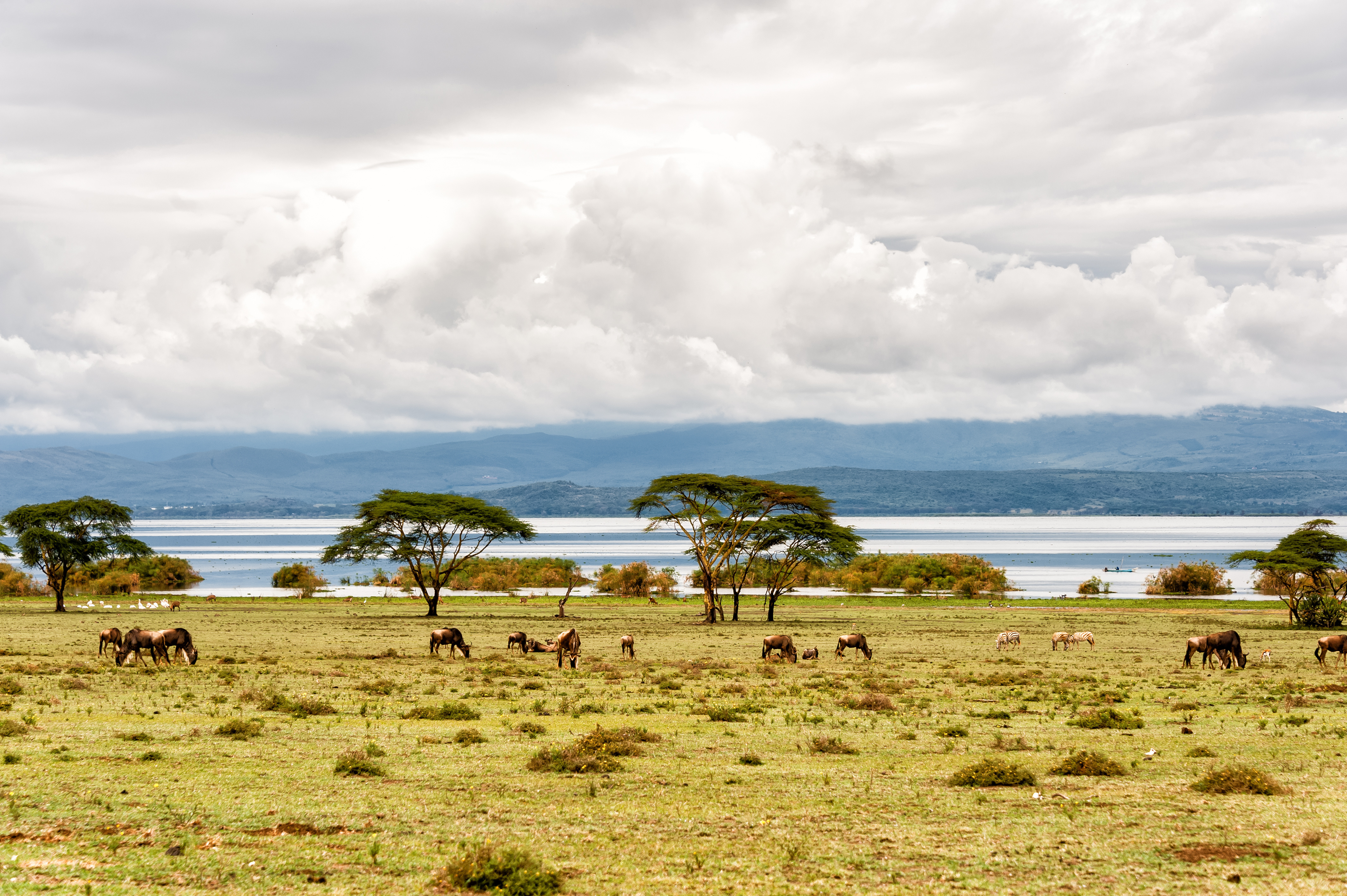 tourhub | Exodus Adventure Travels | Kenya Safari Adventure 