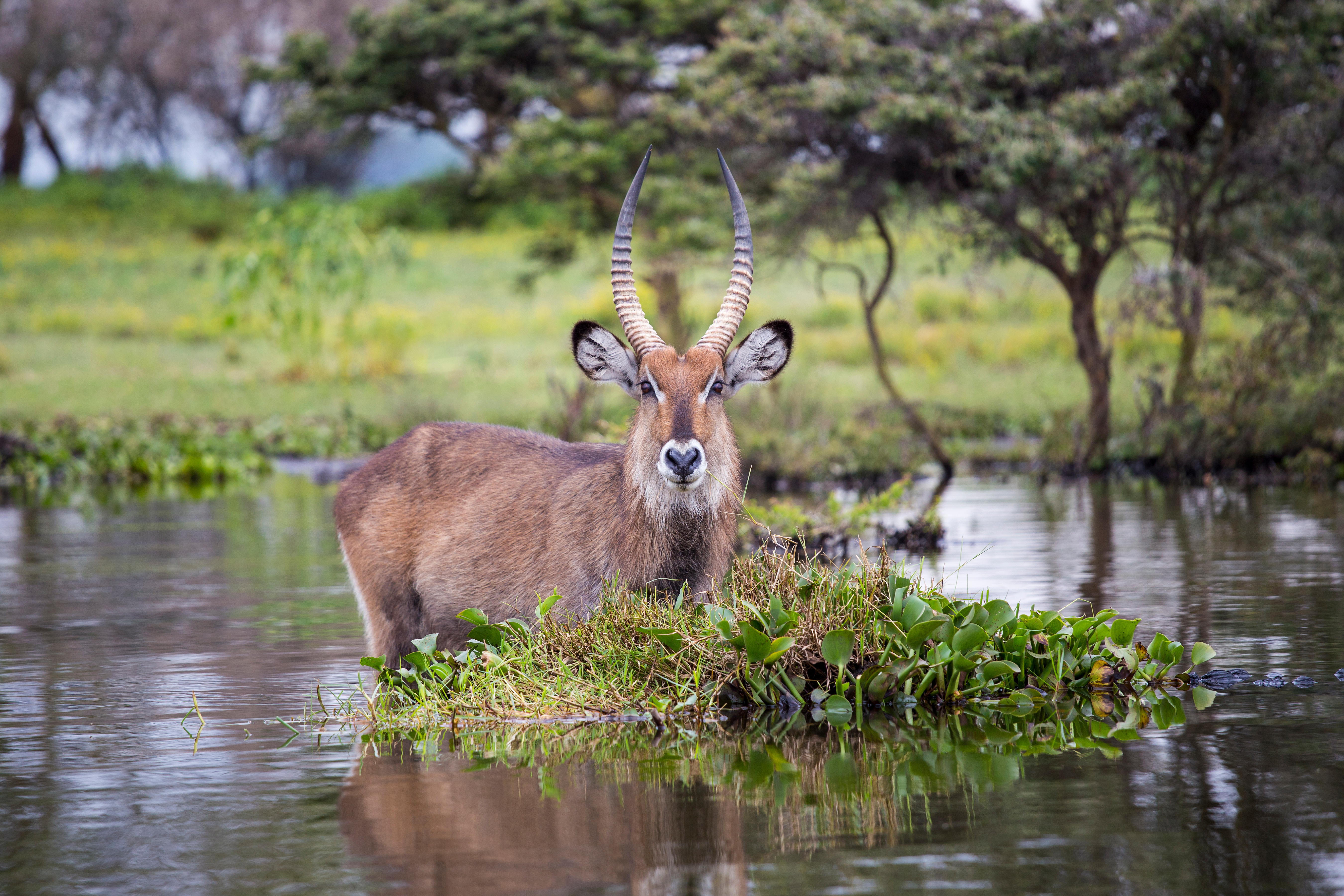 tourhub | Exodus Adventure Travels | Kenya Safari Adventure 