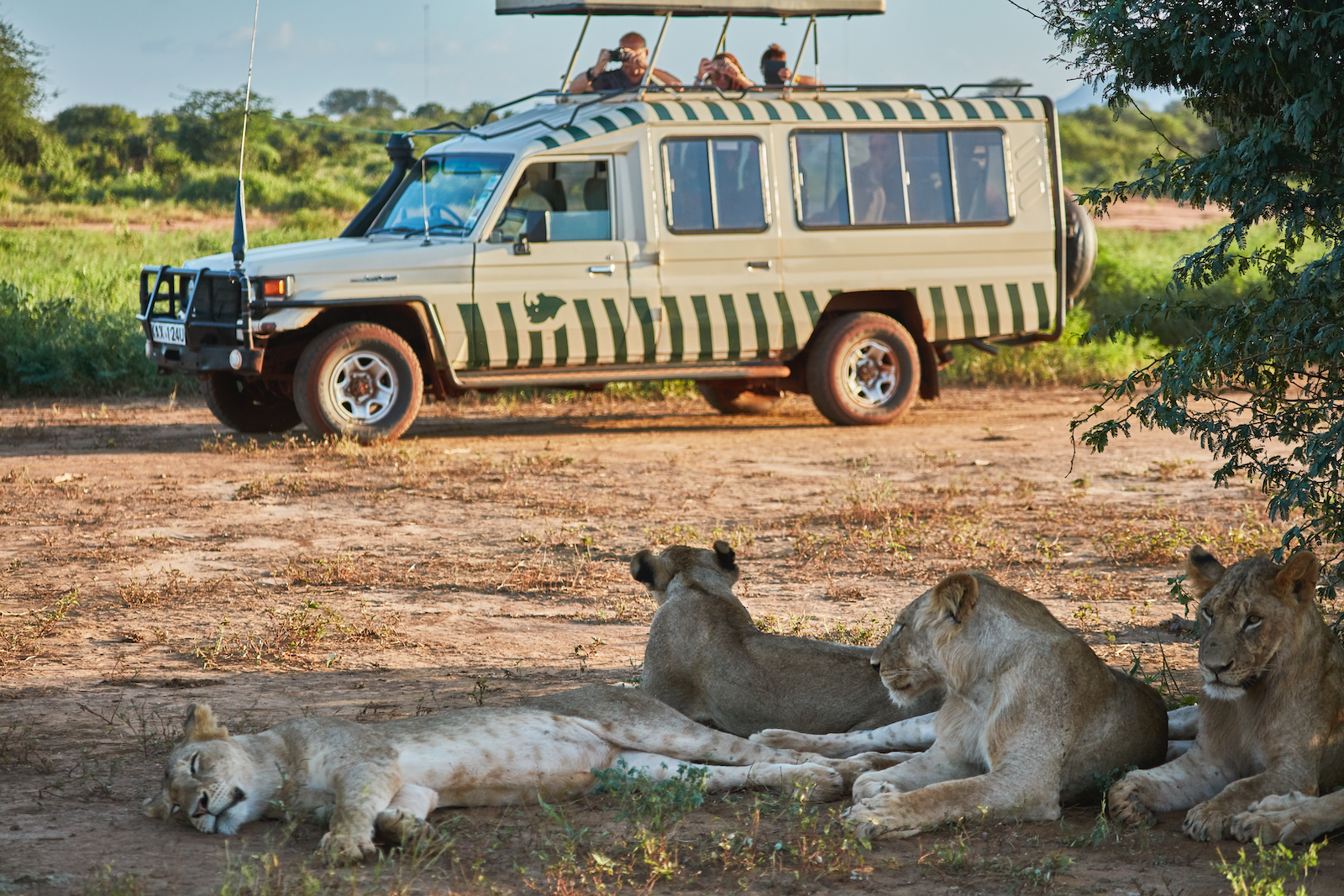 tourhub | Exodus Adventure Travels | Kenya Safari Adventure 