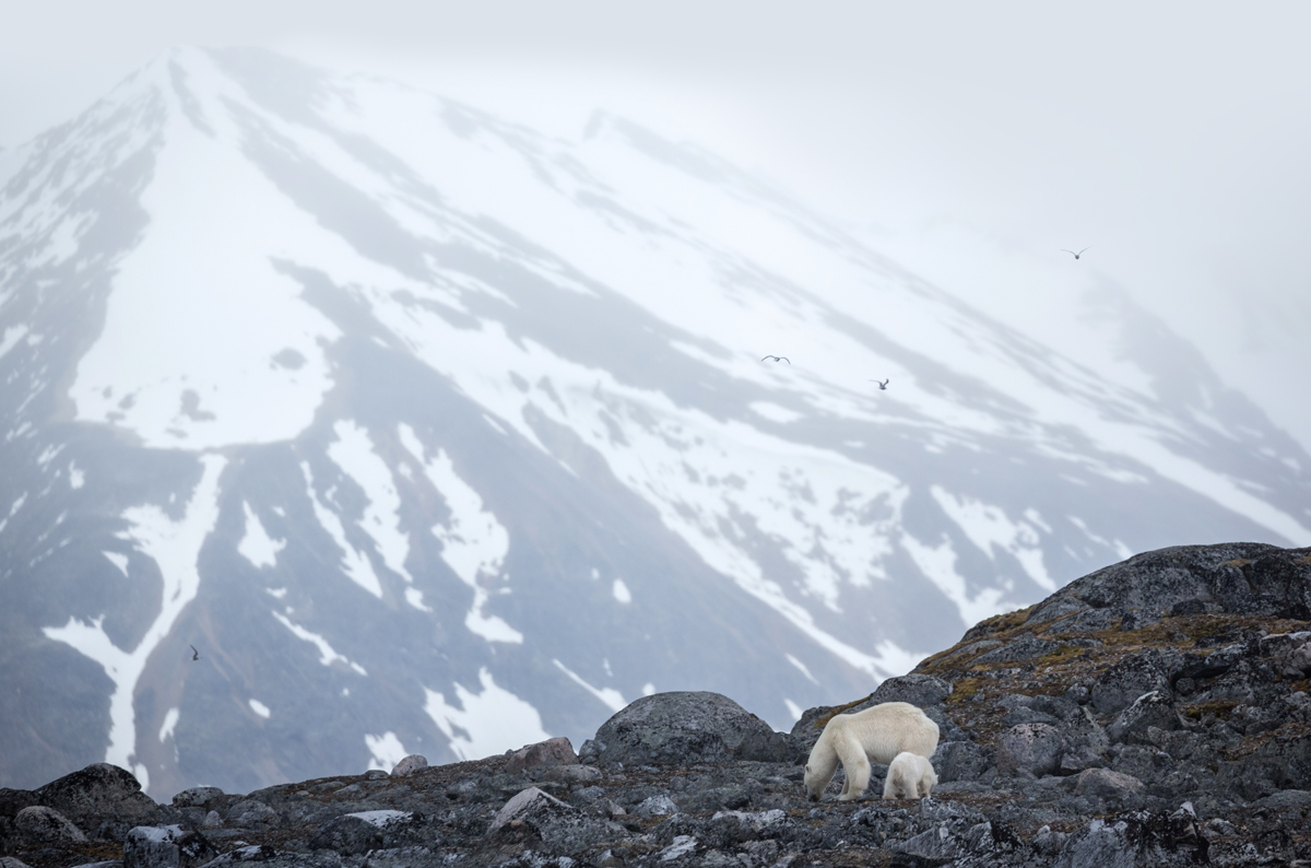 tourhub | Exodus Adventure Travels | Svalbard Explorer: Best of High Arctic Norway (2026) 