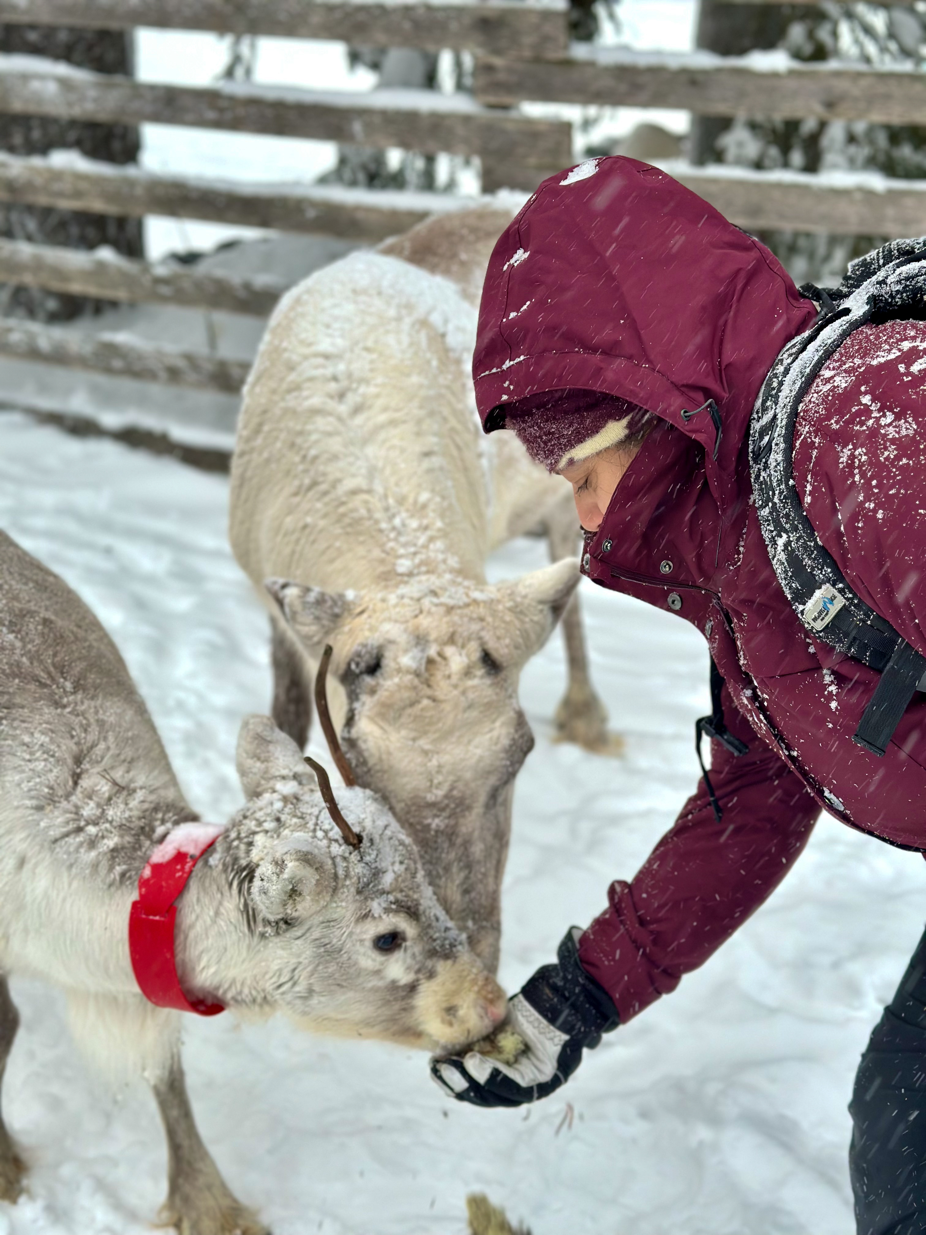 tourhub | Exodus Adventure Travels | Finland Family Winter Adventure 