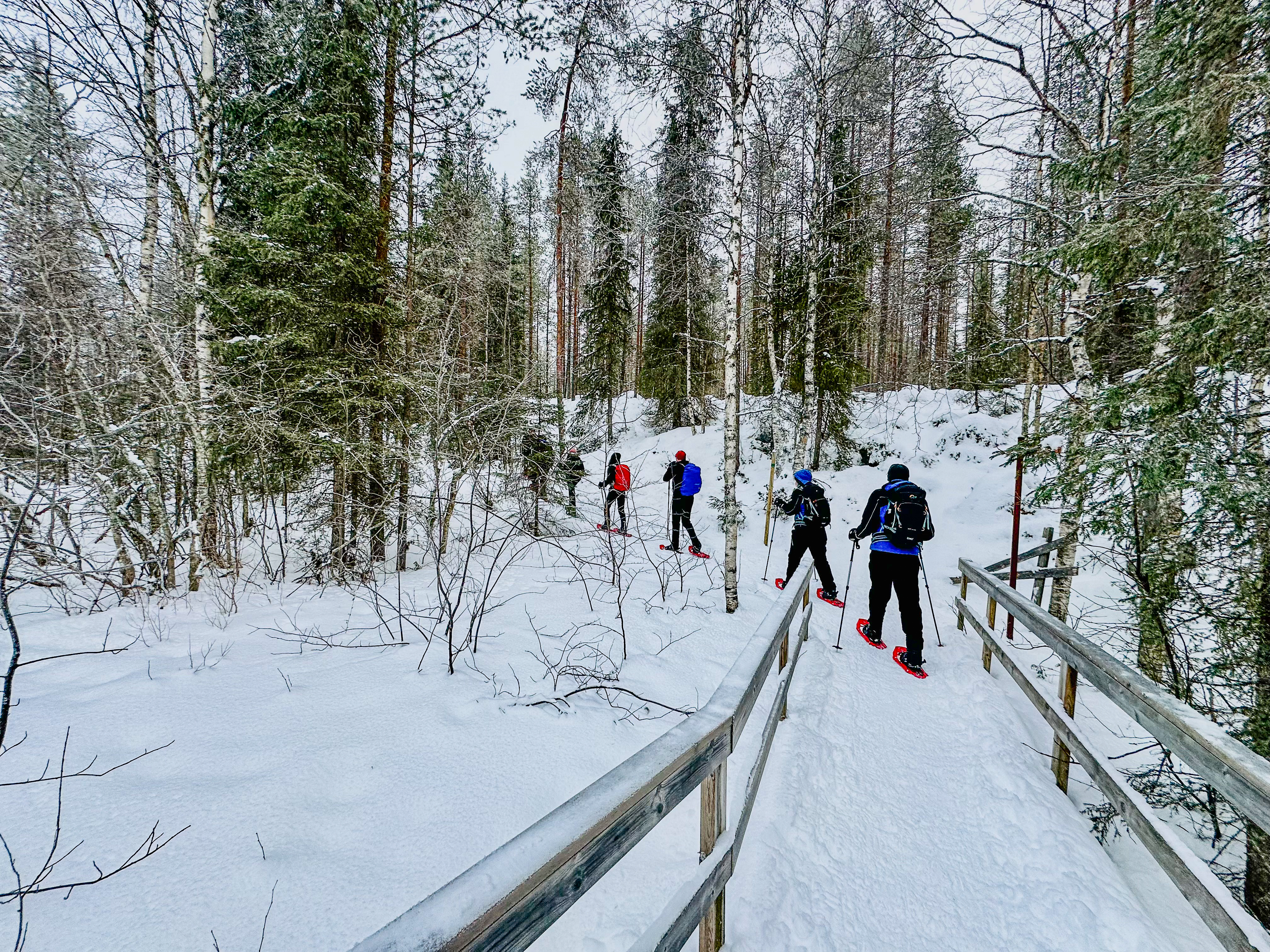 tourhub | Exodus Adventure Travels | Snowshoeing in Finland 