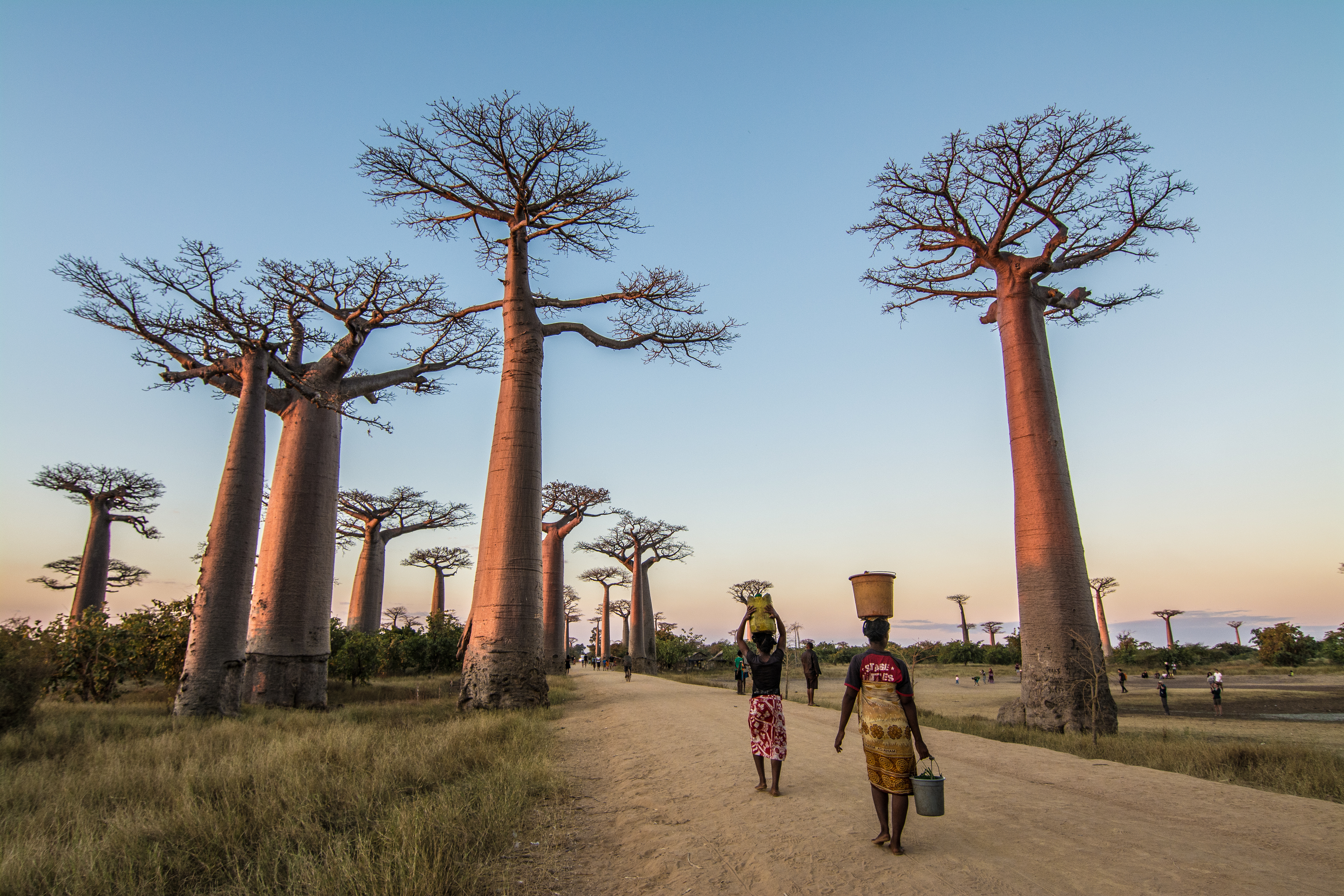 Madagascar Wildlife Adventure