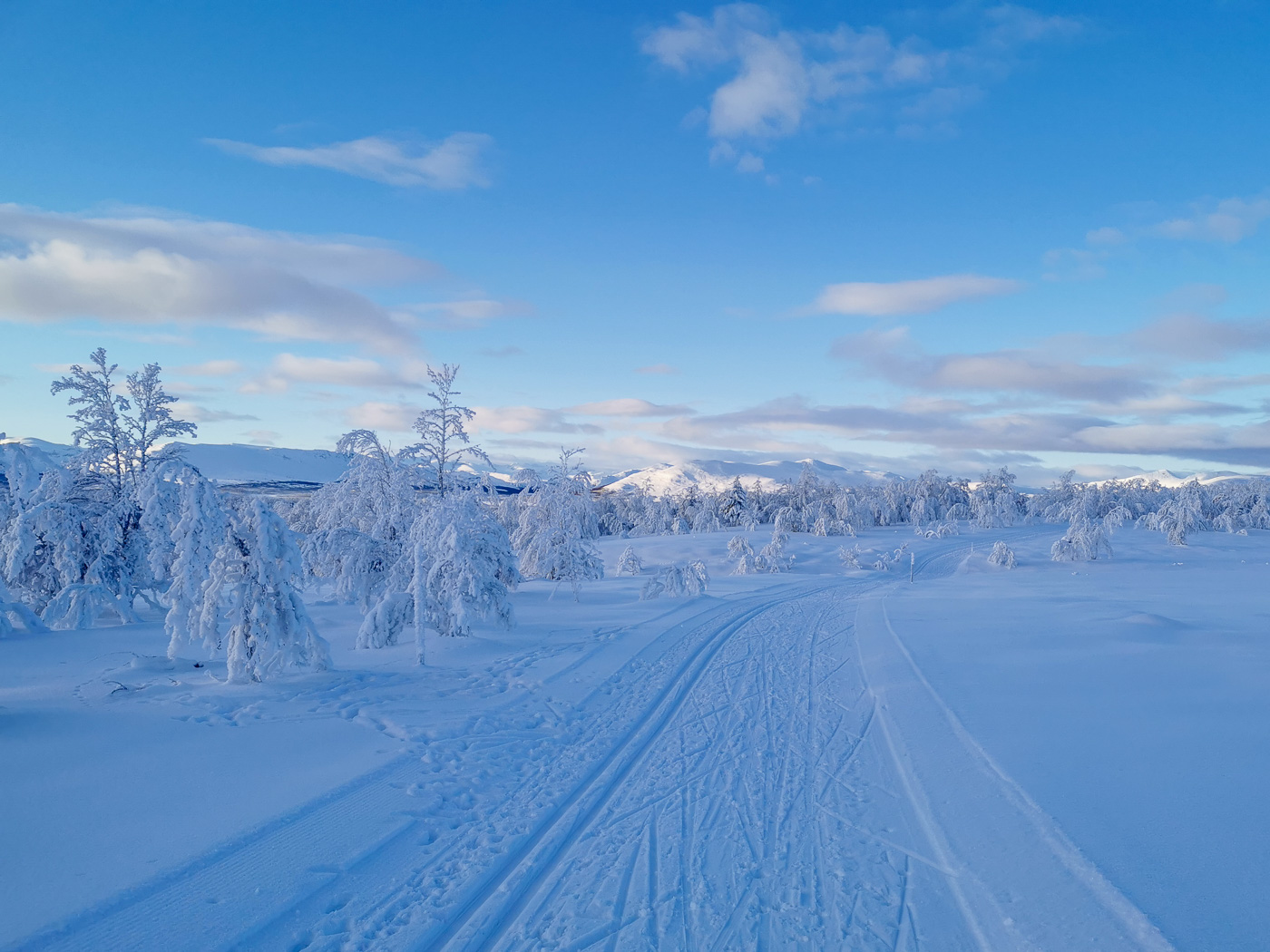 Cross-Country Skiing in Skåbu, Norway